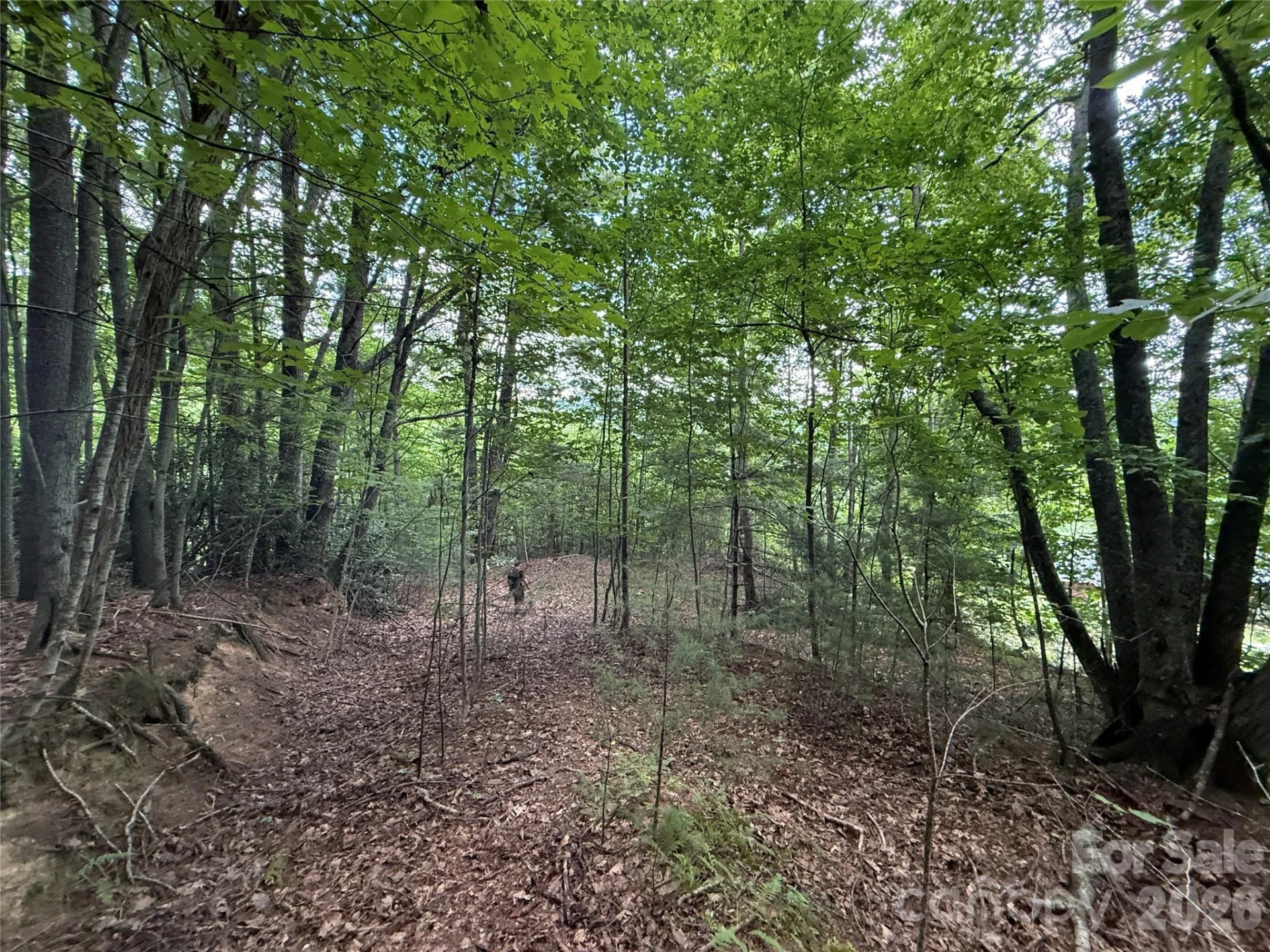 99999 Walking Horse Trail - Photo 15