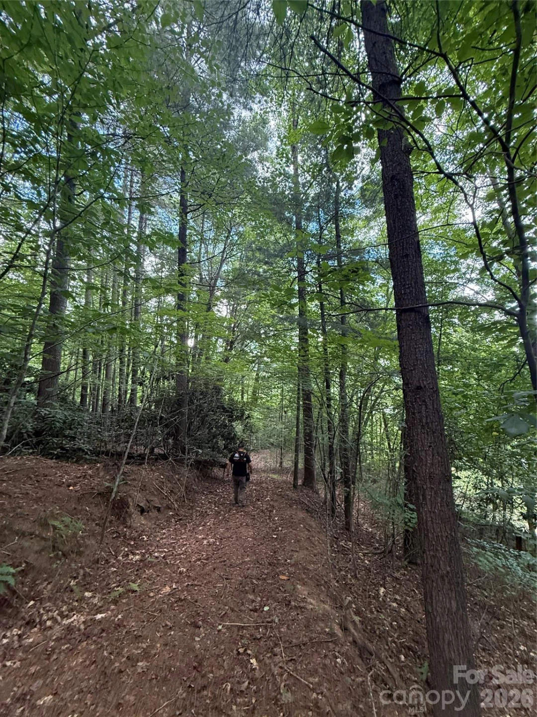 99999 Walking Horse Trail - Photo 16