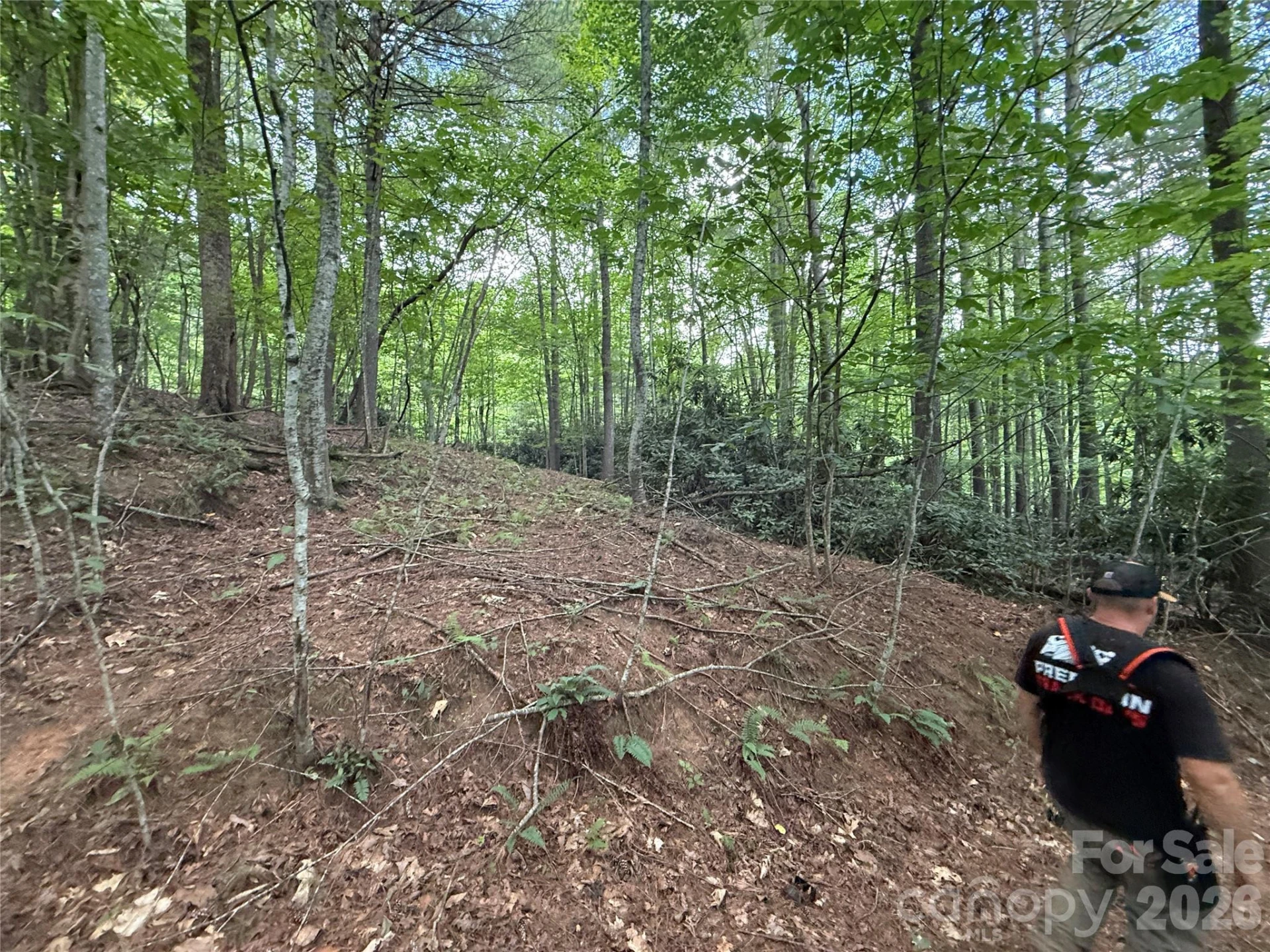 99999 Walking Horse Trail - Photo 17