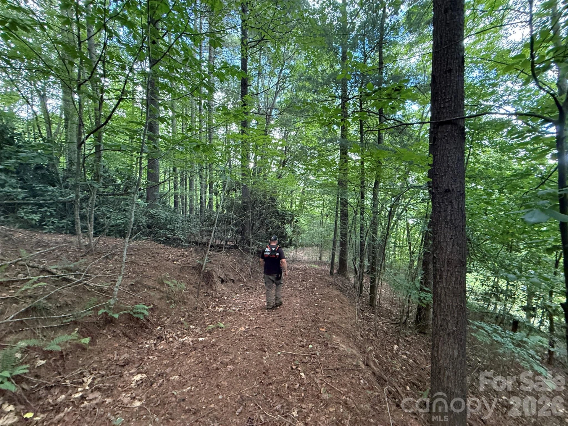 99999 Walking Horse Trail - Photo 18
