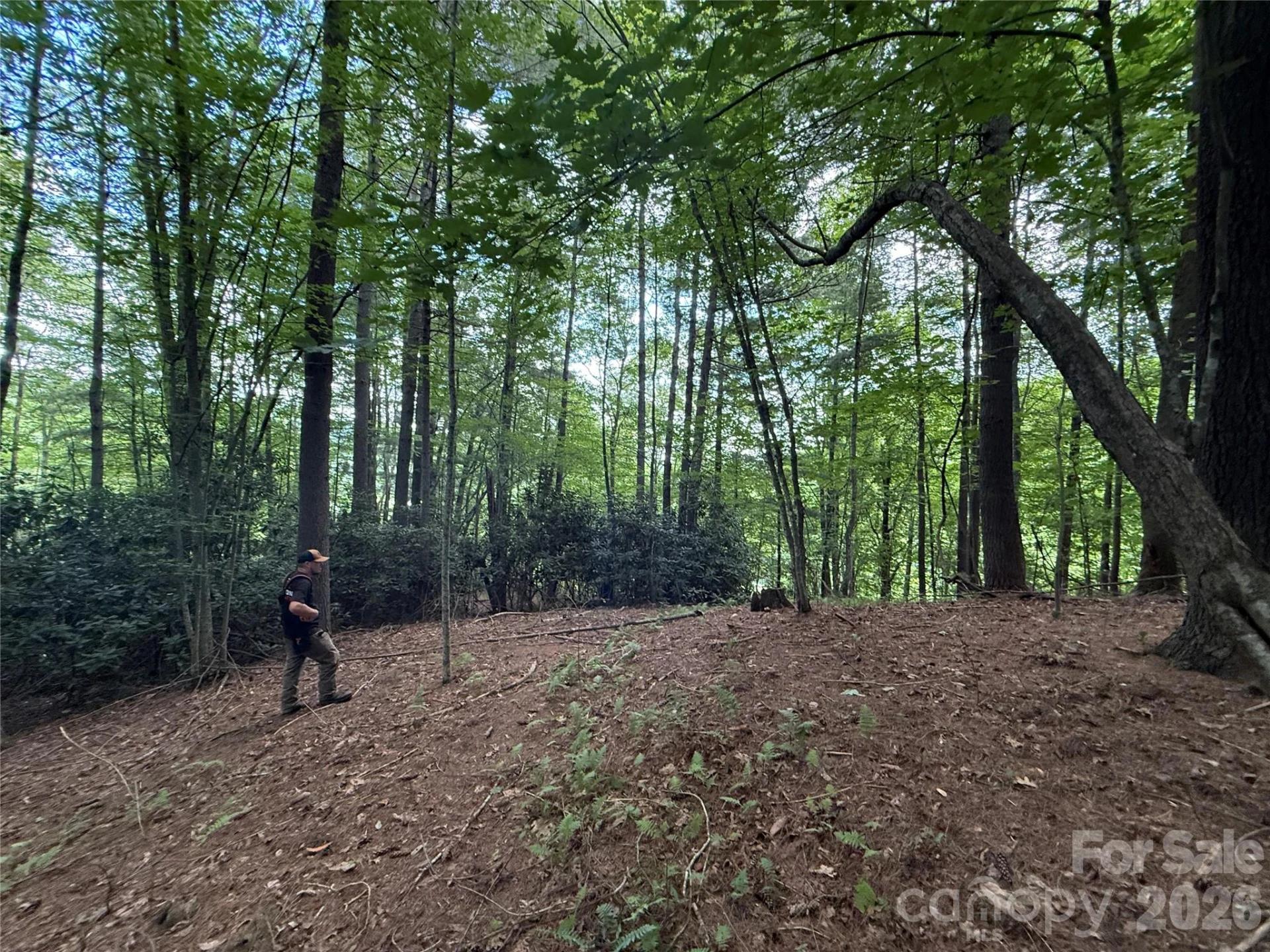 99999 Walking Horse Trail - Photo 19