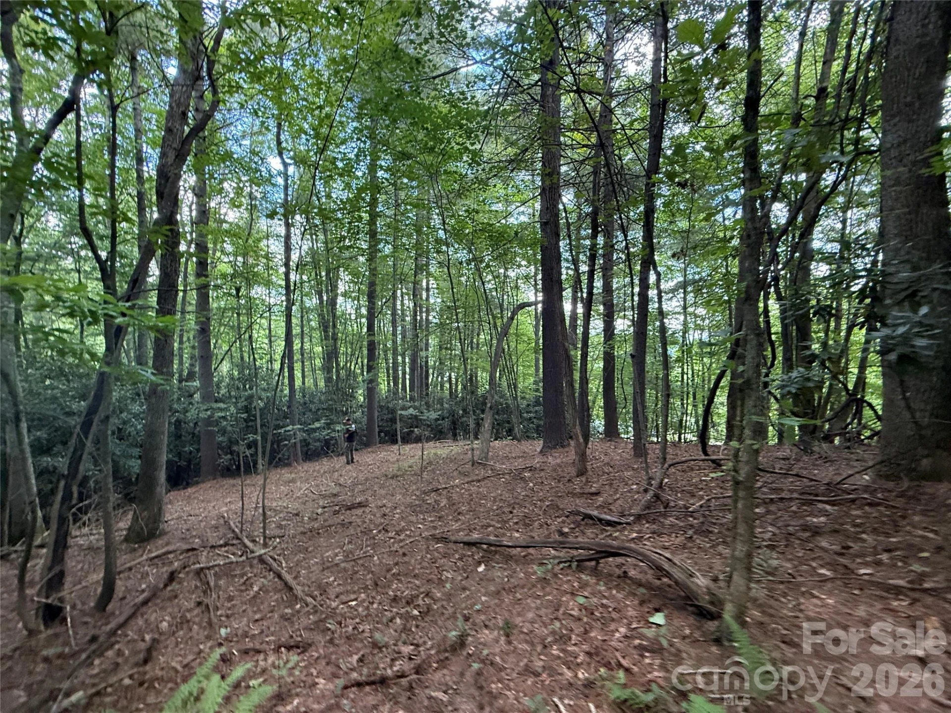 99999 Walking Horse Trail - Photo 20