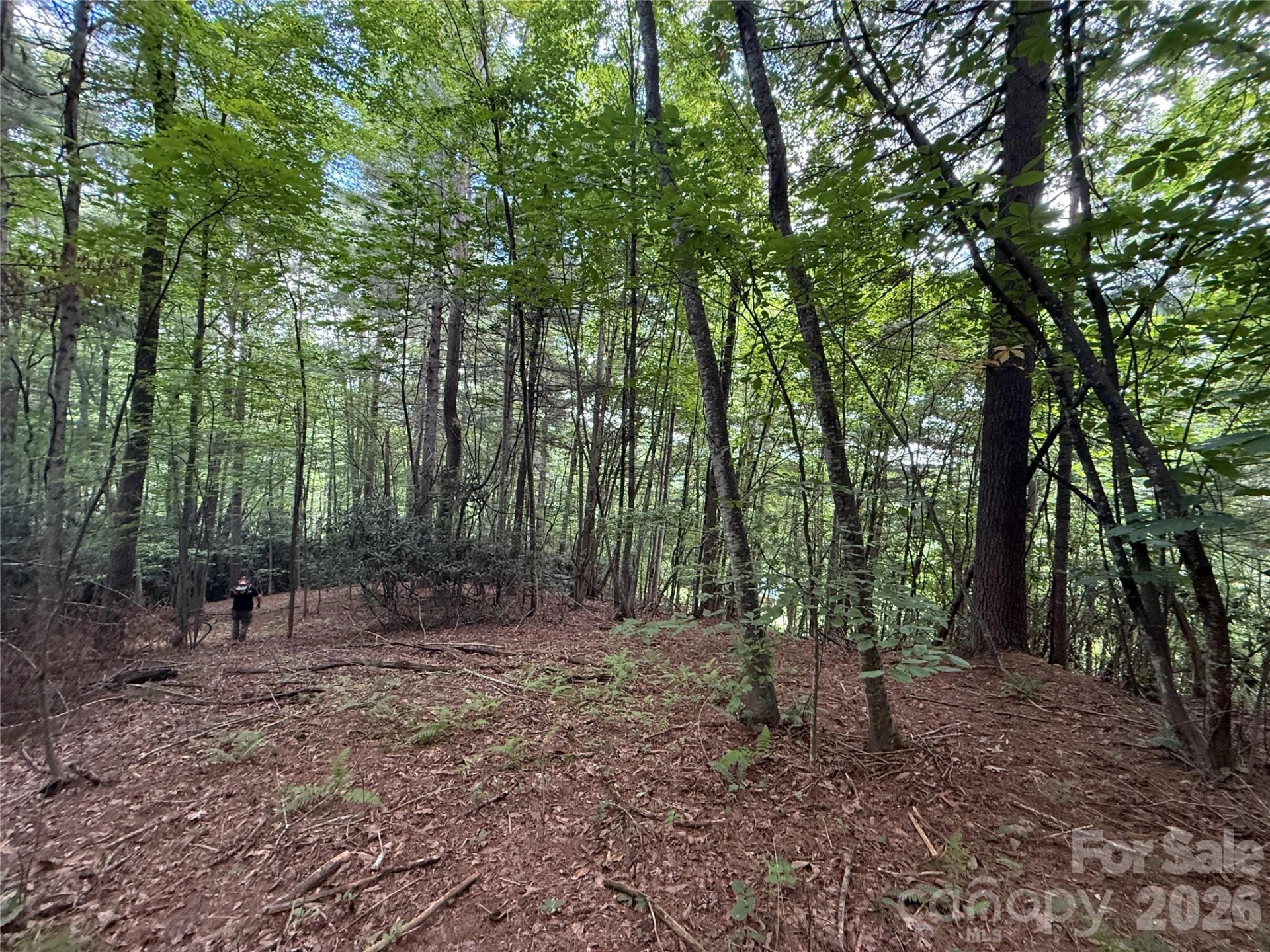99999 Walking Horse Trail - Photo 21
