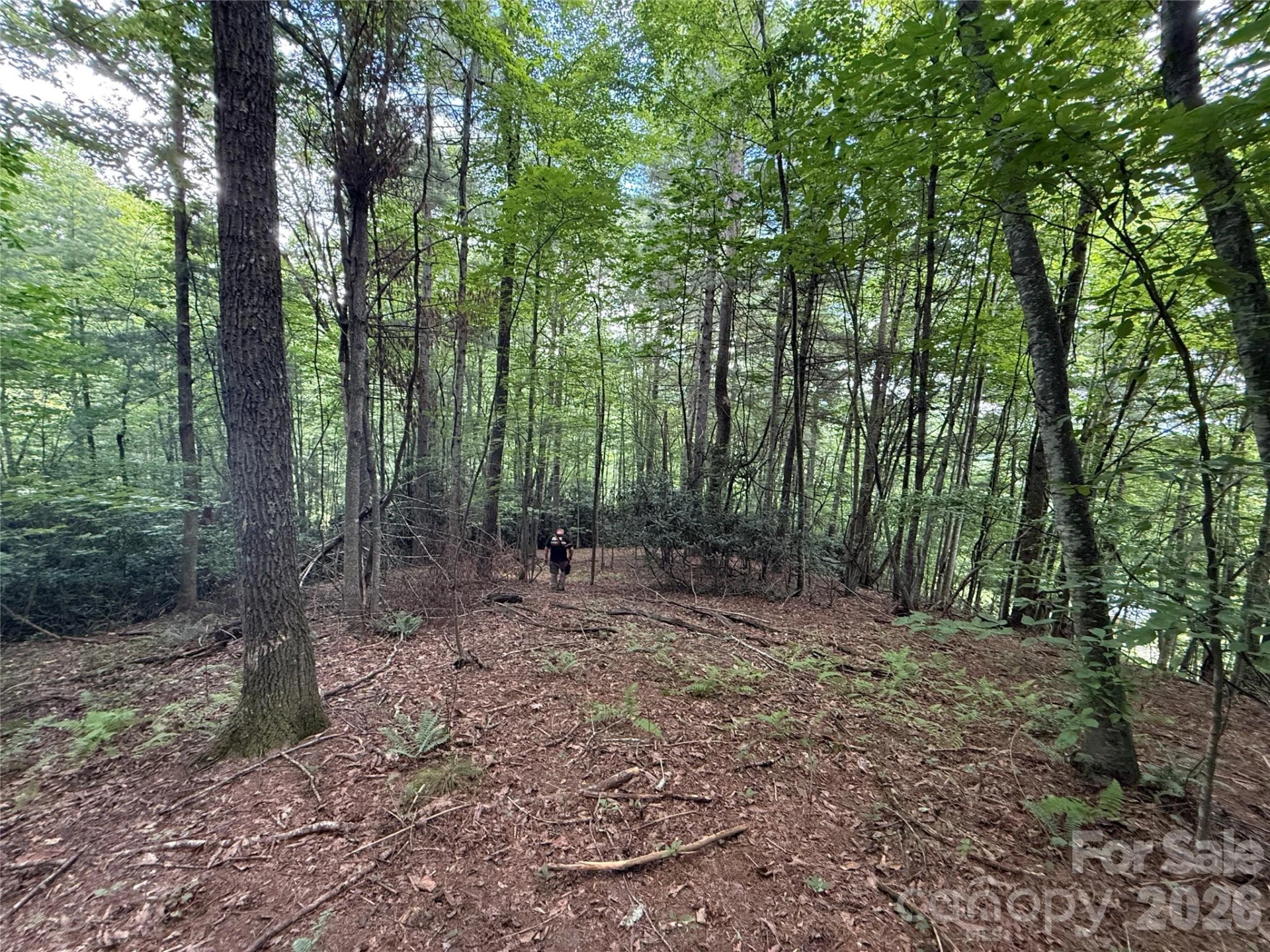 99999 Walking Horse Trail - Photo 22