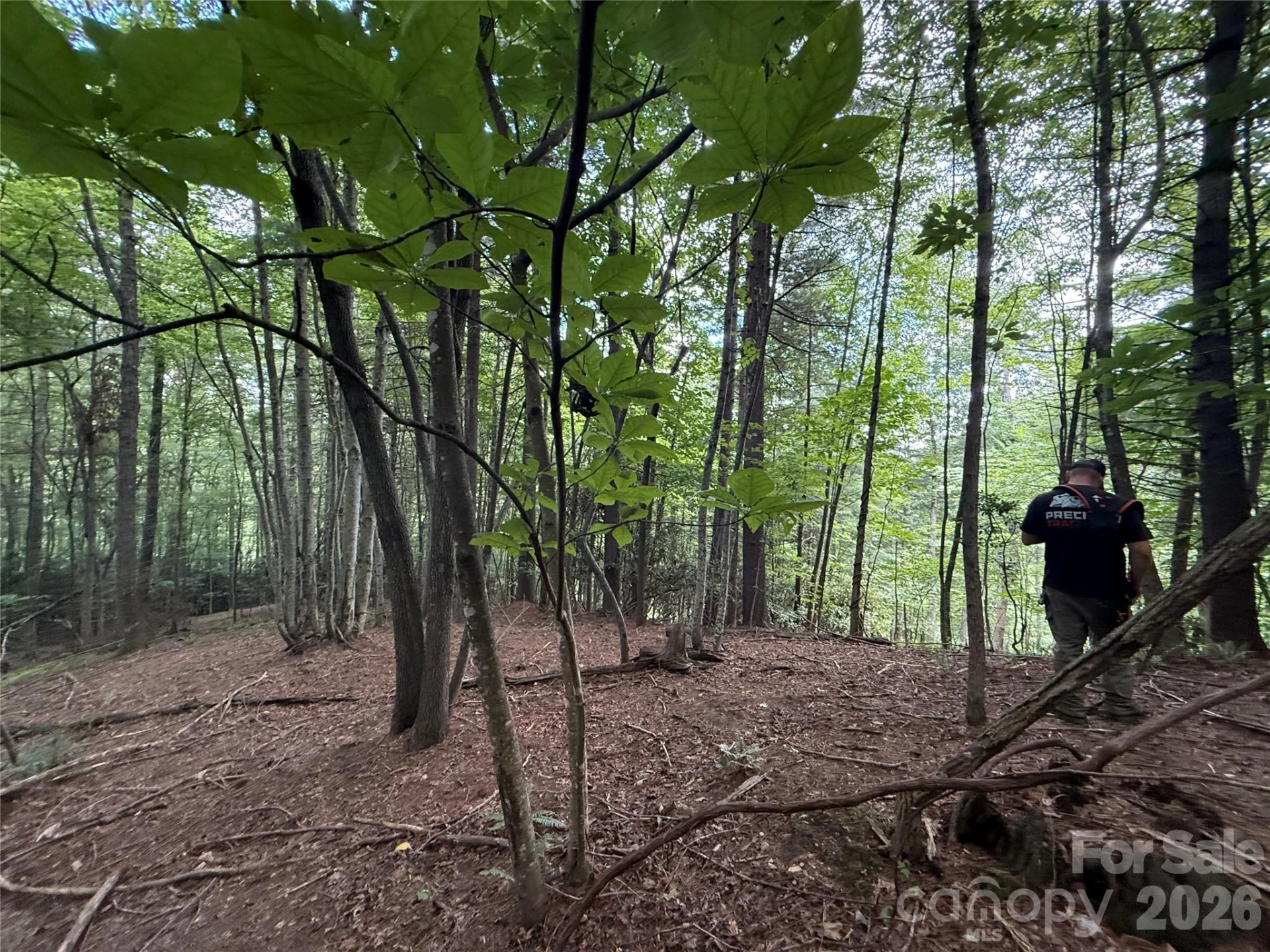 99999 Walking Horse Trail - Photo 23