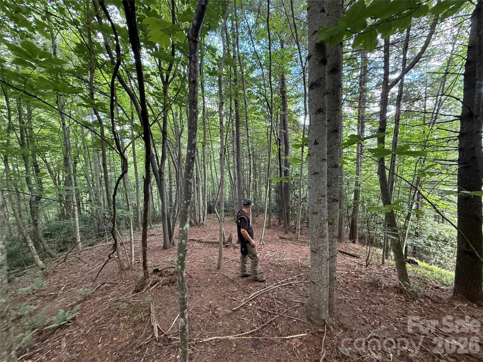 99999 Walking Horse Trail - Photo 24