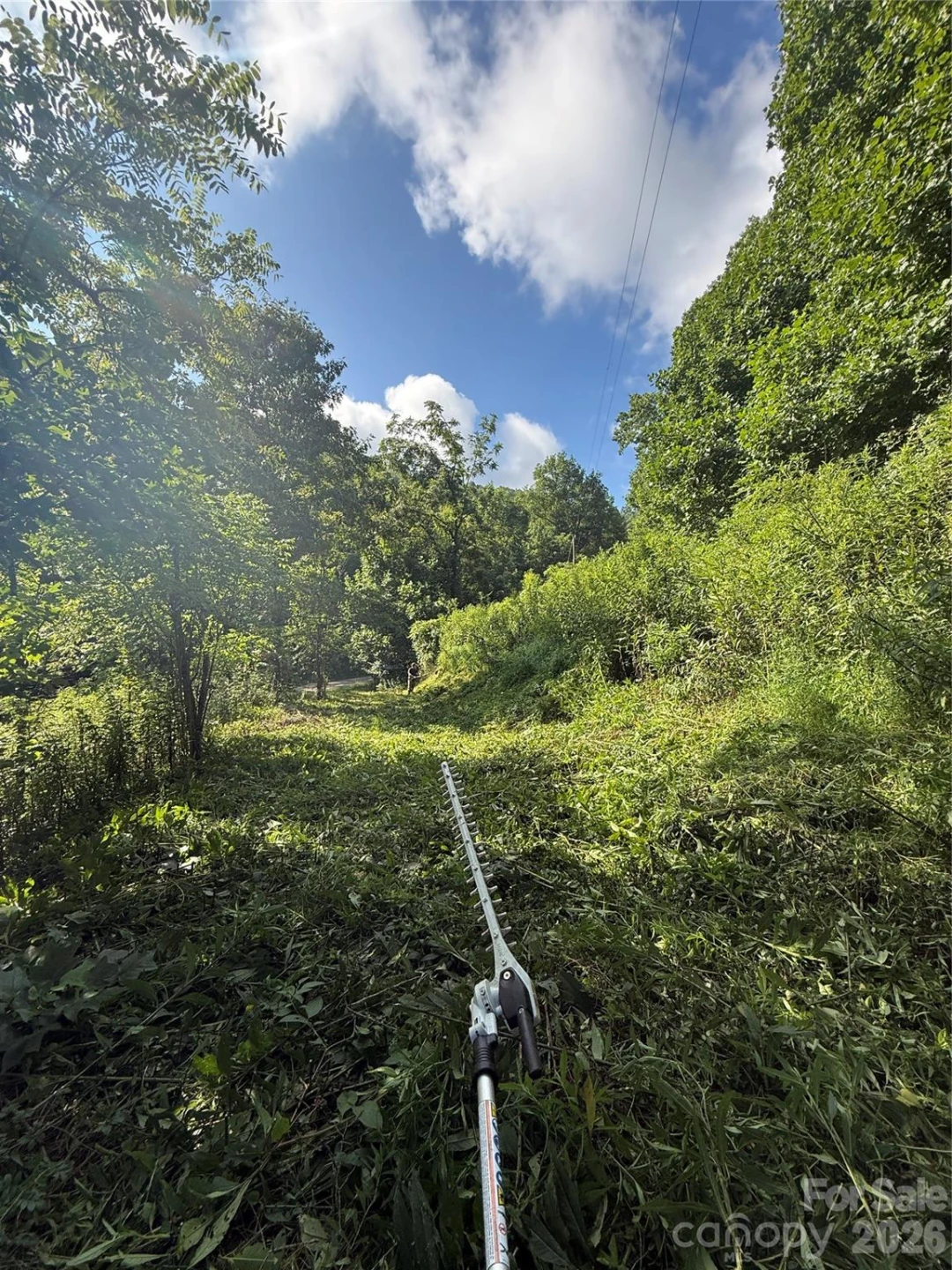 99999 Walking Horse Trail - Photo 25