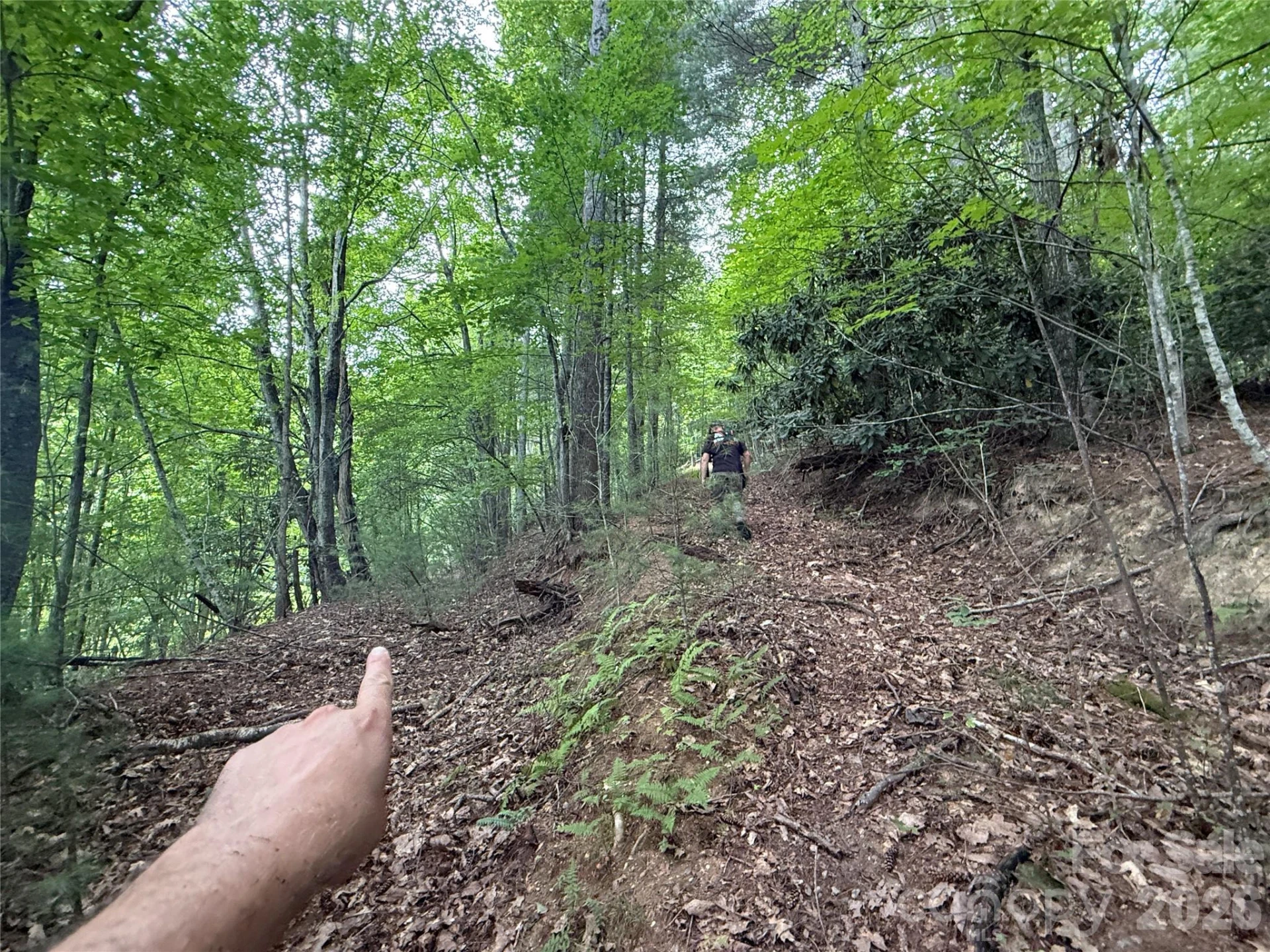 99999 Walking Horse Trail - Photo 26