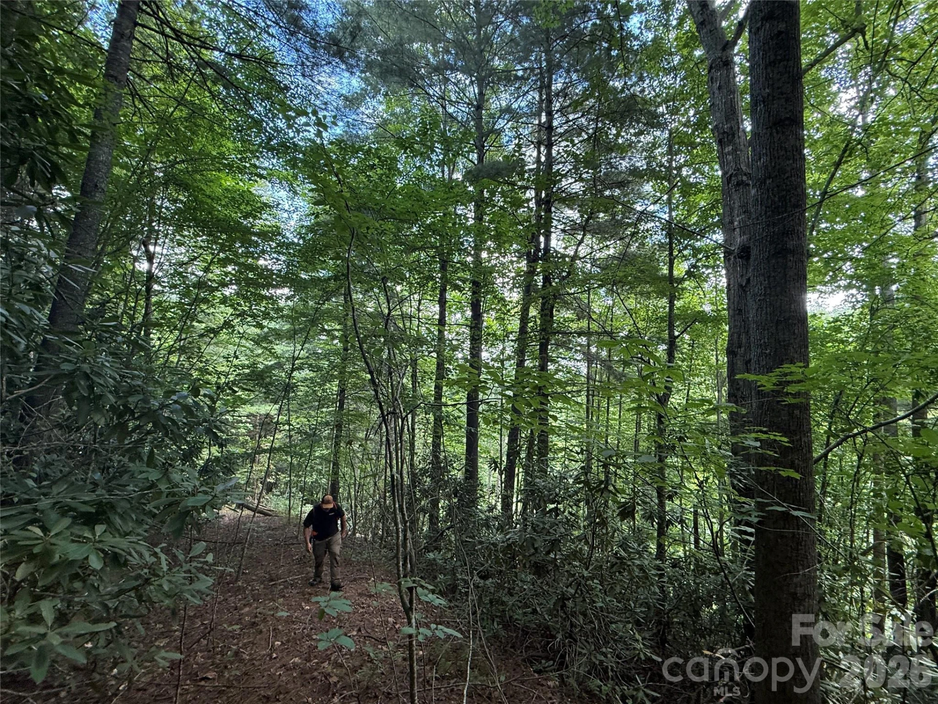 99999 Walking Horse Trail - Photo 27