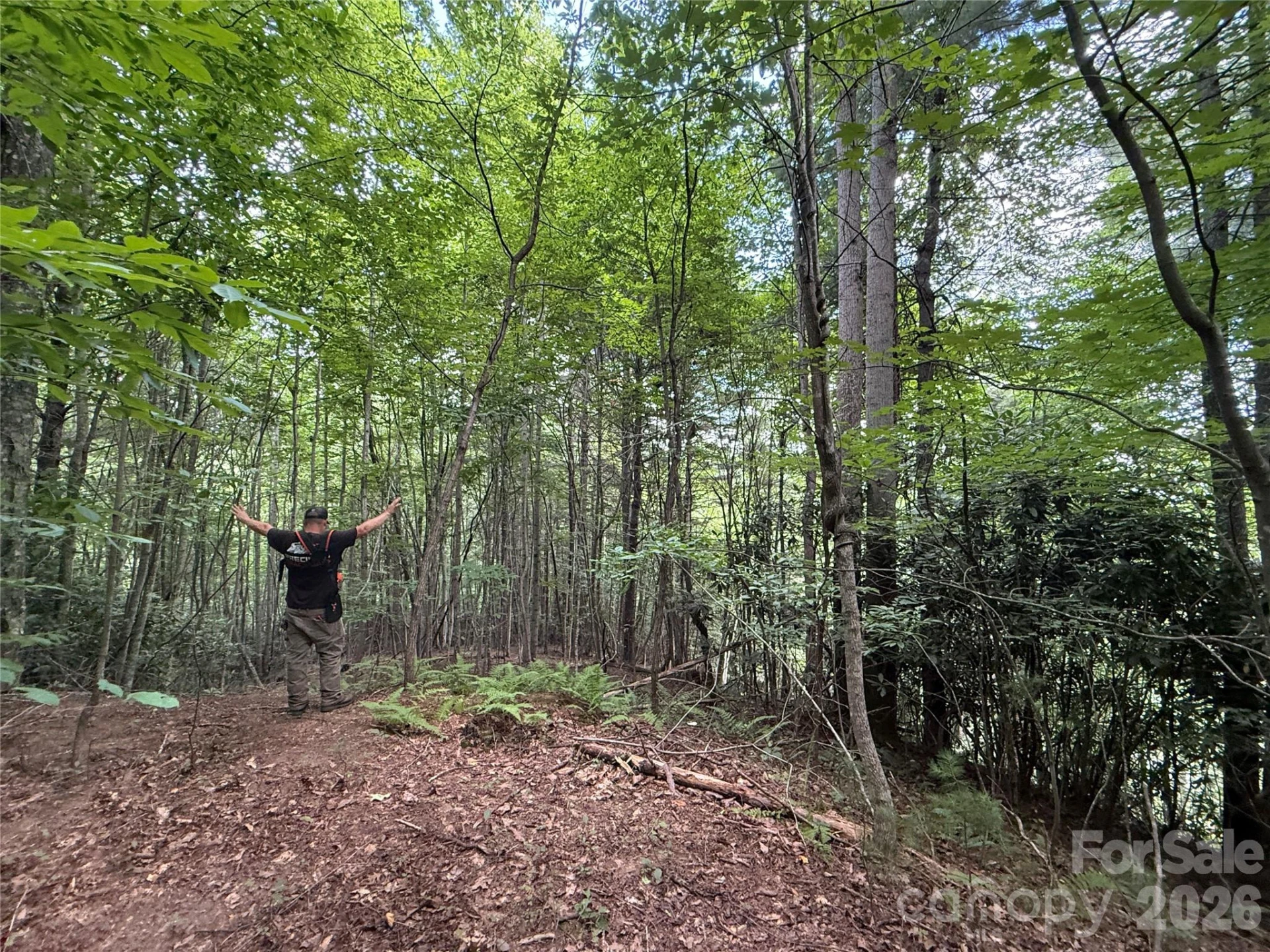 99999 Walking Horse Trail - Photo 28