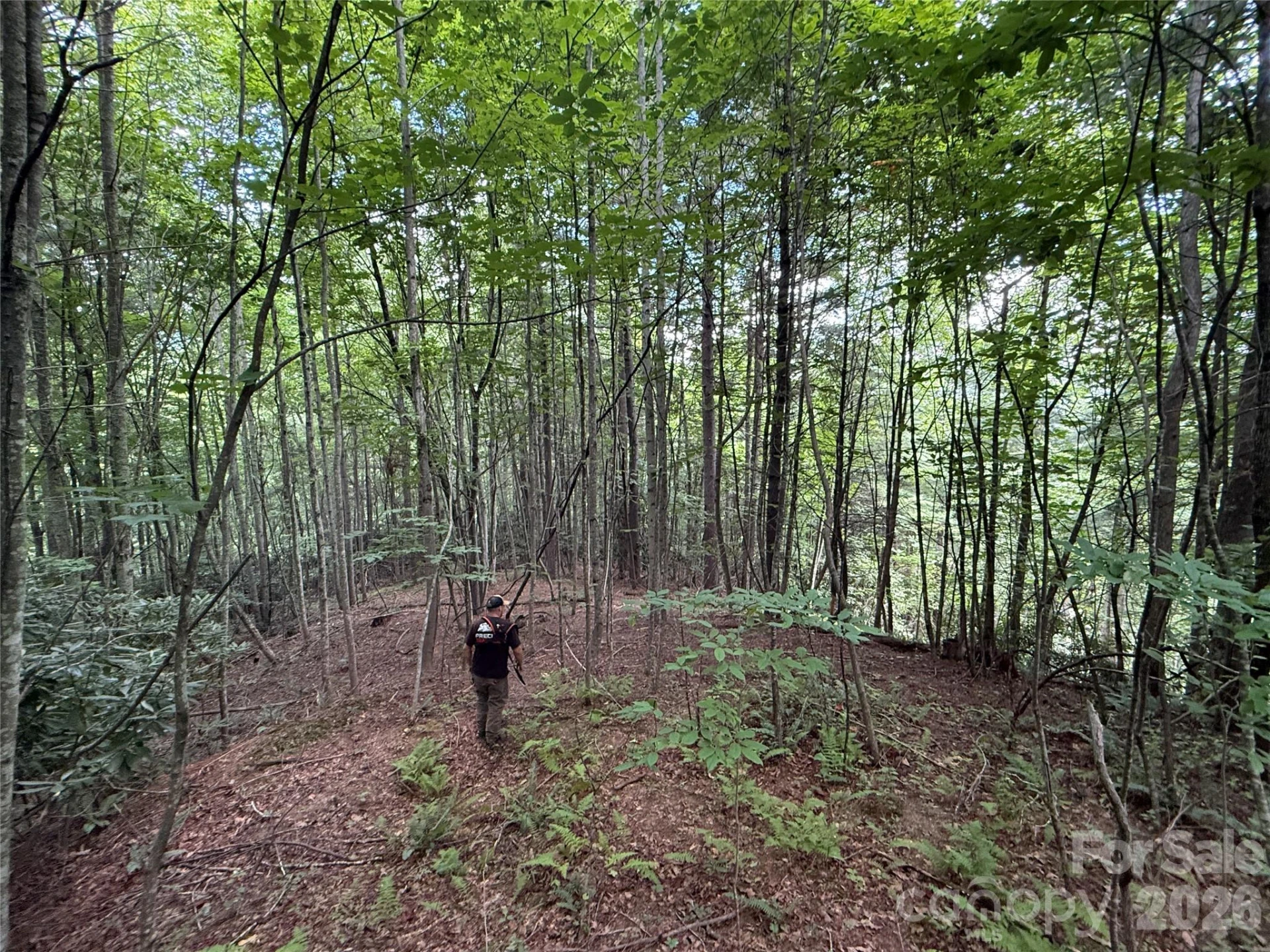 99999 Walking Horse Trail - Photo 30