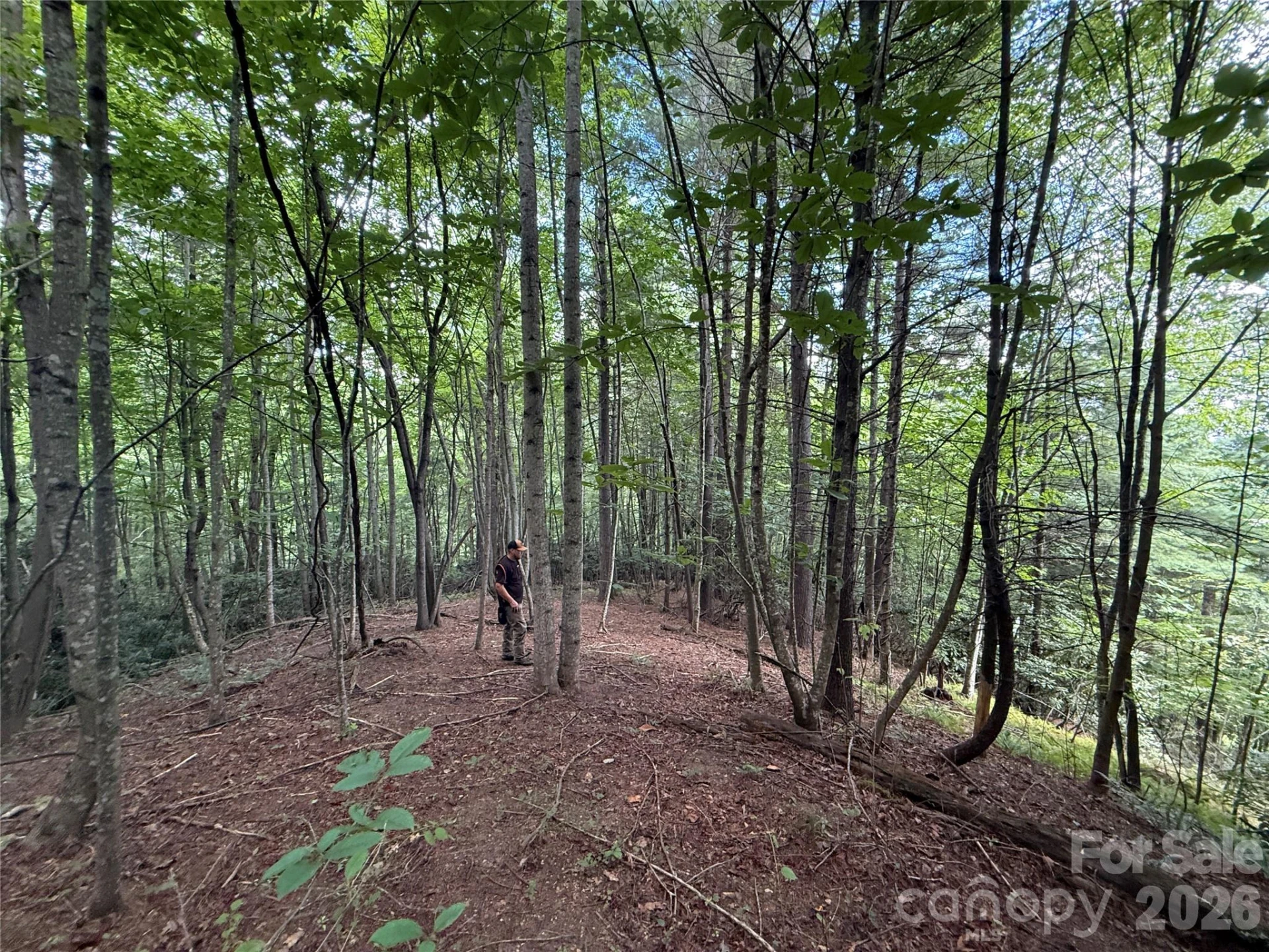 99999 Walking Horse Trail - Photo 31