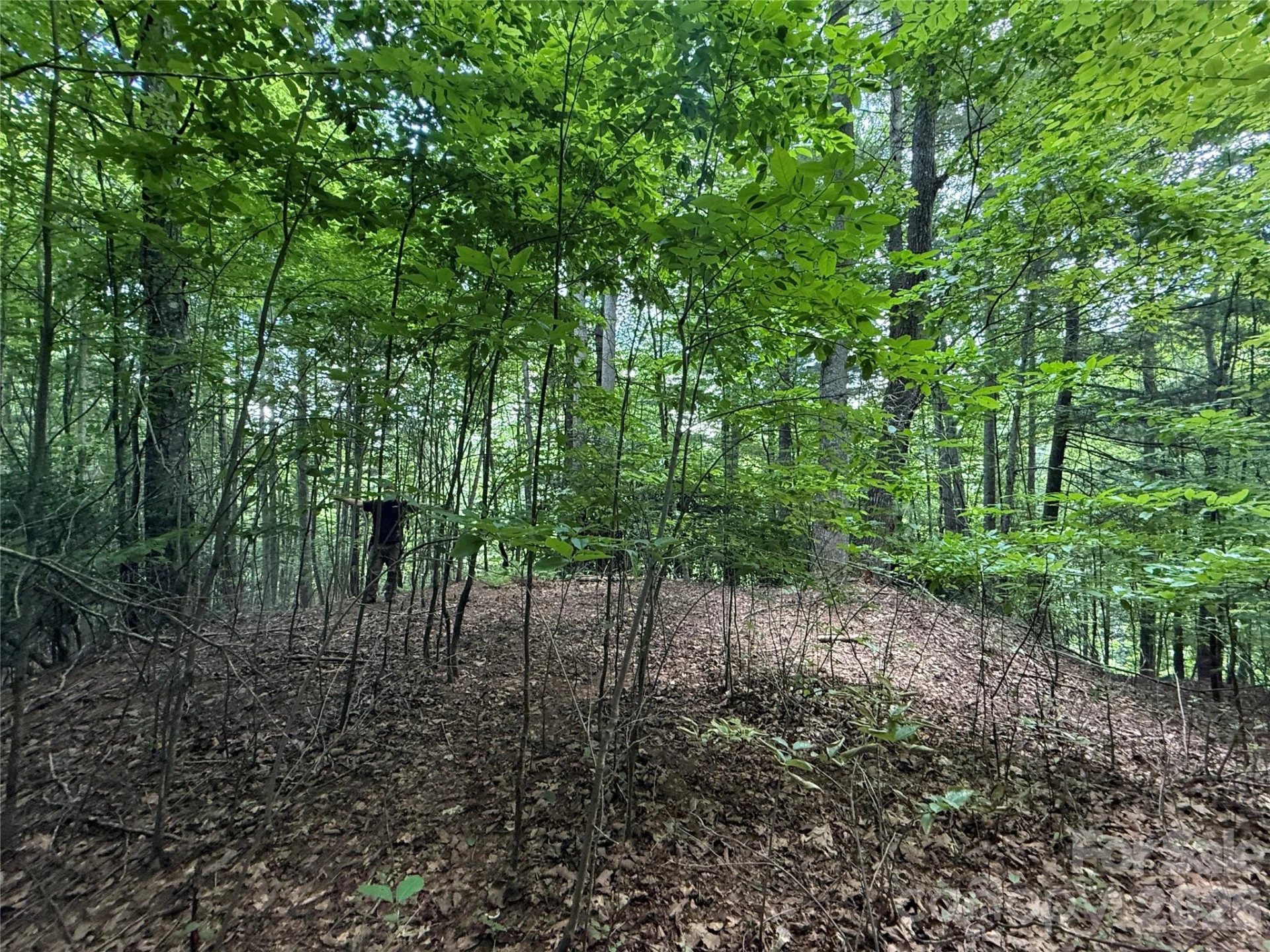 99999 Walking Horse Trail - Photo 32