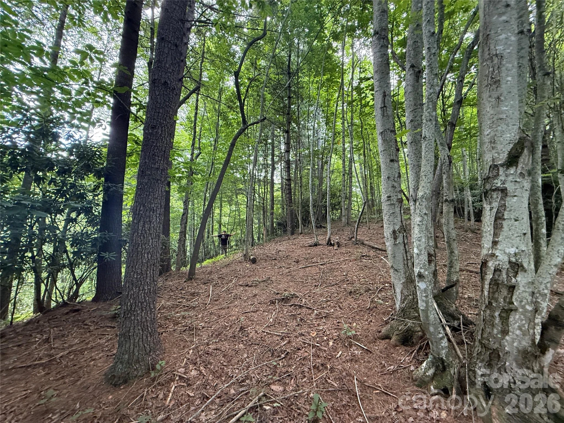 99999 Walking Horse Trail - Photo 33