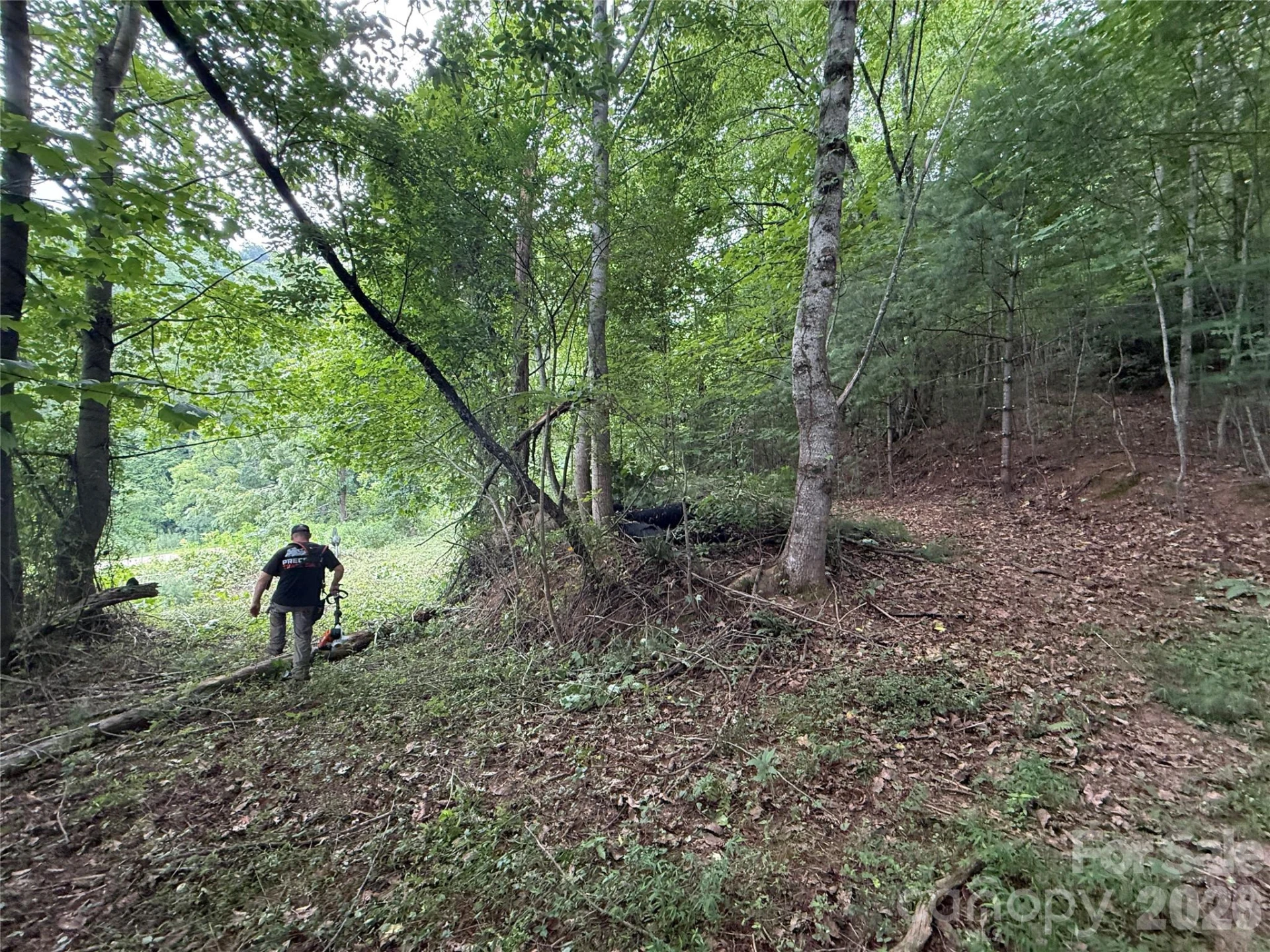 99999 Walking Horse Trail - Photo 34