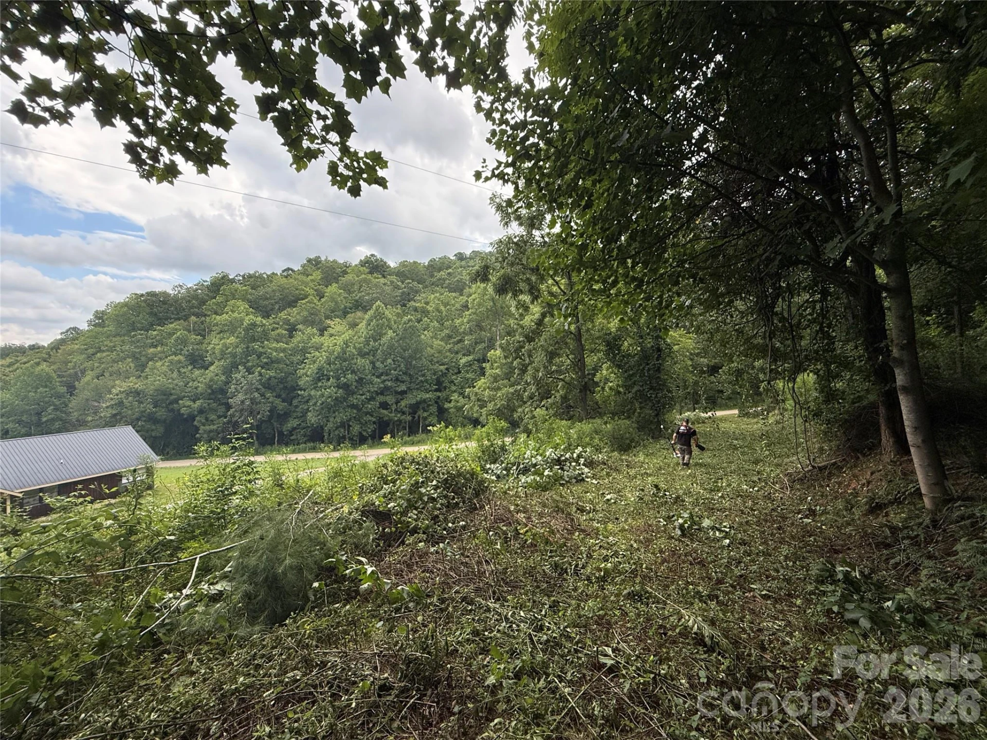 99999 Walking Horse Trail - Photo 35