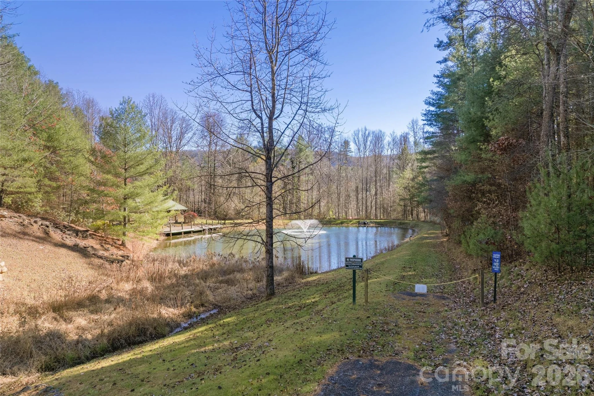 0 Daylily Drive #Lot 20 - Photo 11