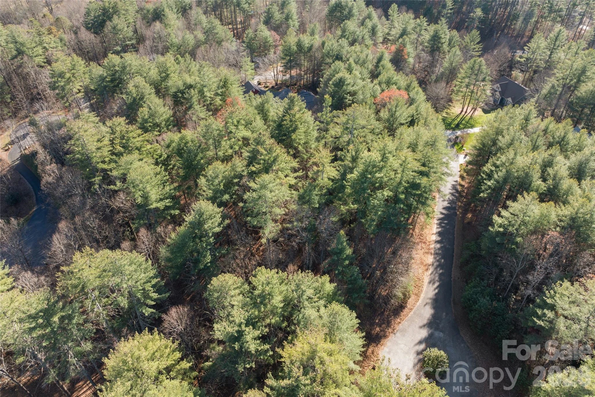 0 Daylily Drive #Lot 20 - Photo 3