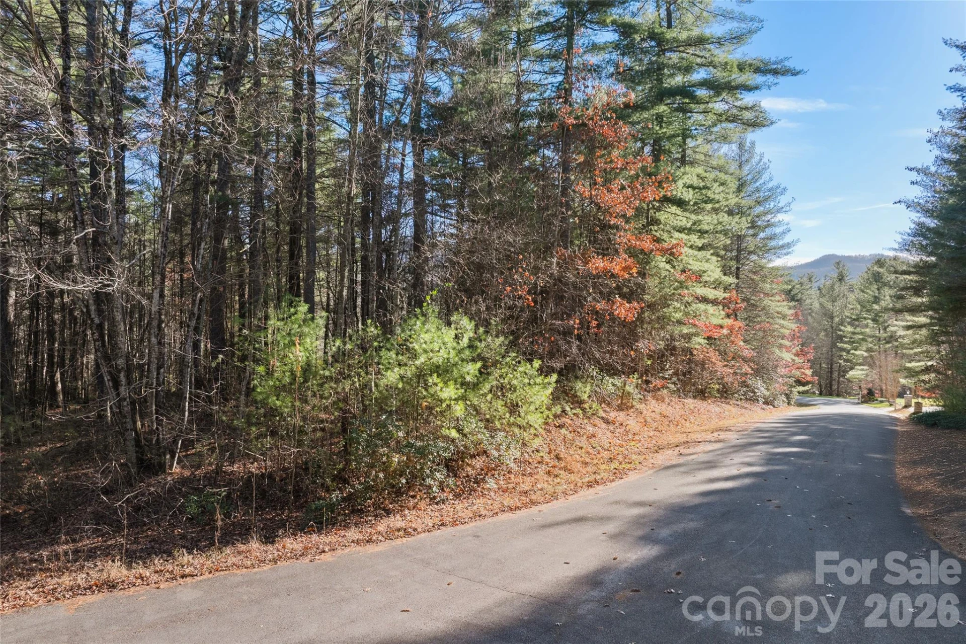 0 Daylily Drive #Lot 20 - Photo 4