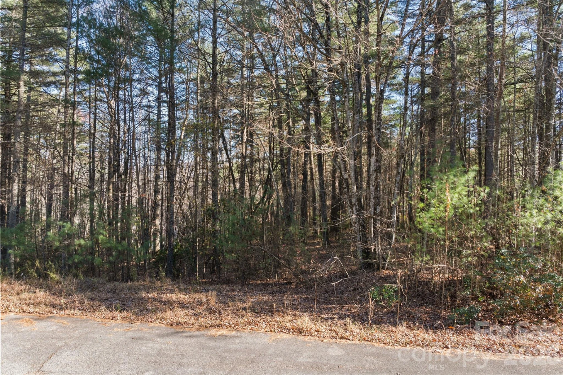 0 Daylily Drive #Lot 20 - Photo 7