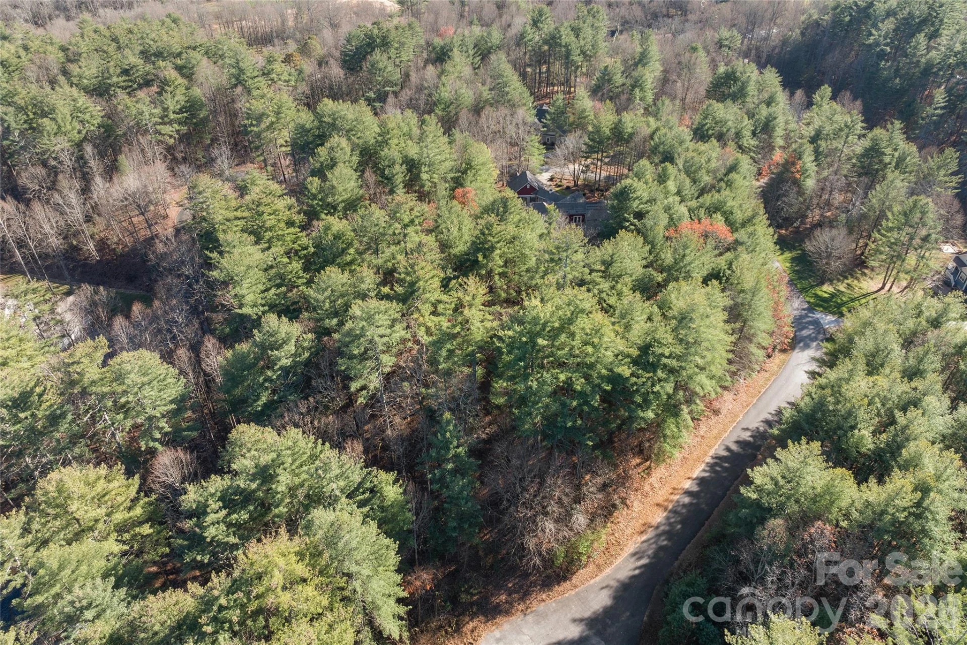 0 Daylily Drive #Lot 20 - Photo 9
