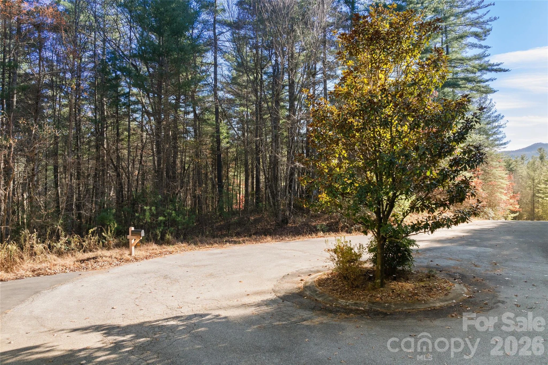 0 Daylily Drive #Lot 20 - Photo 10