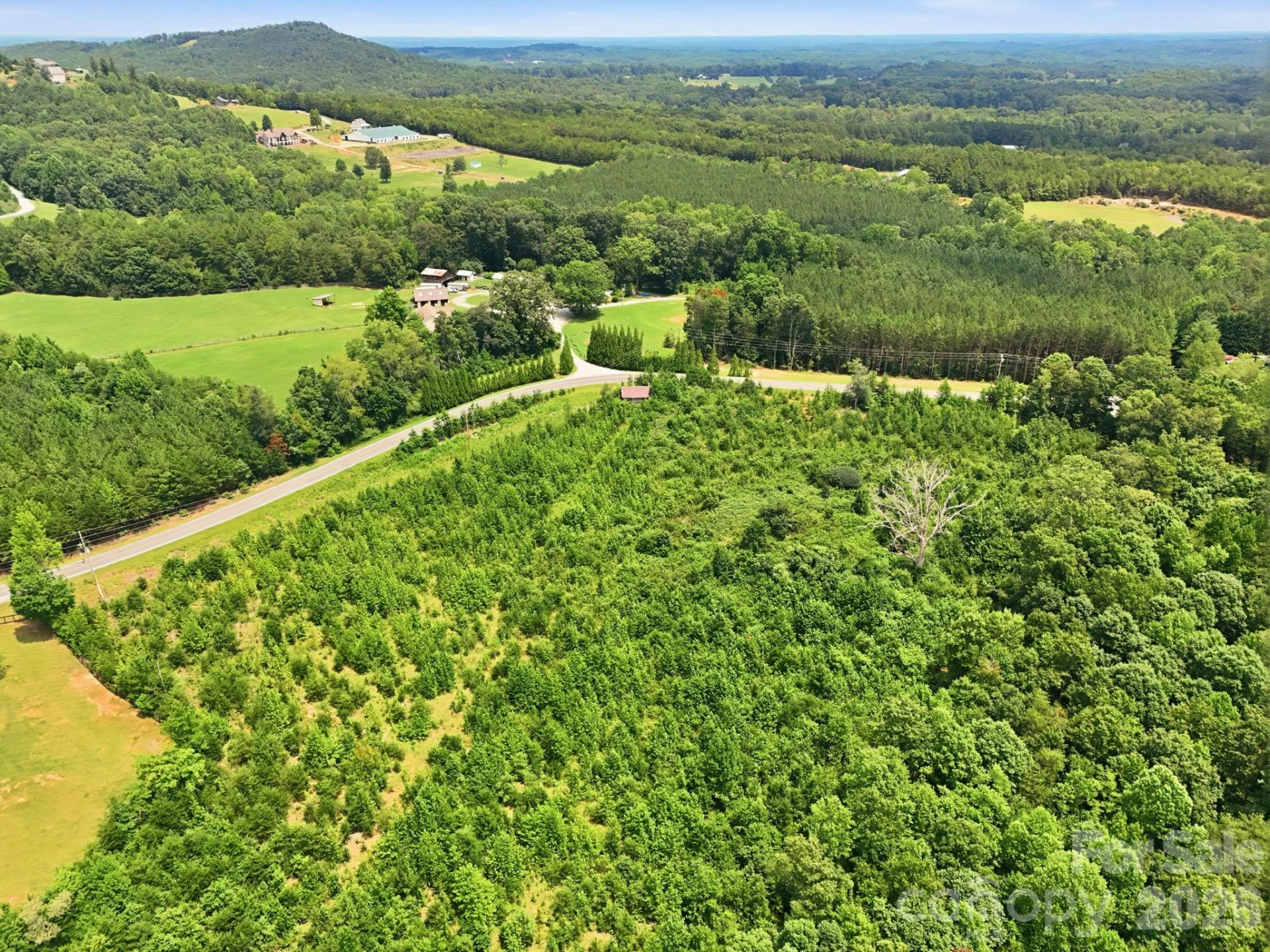 1522 Little Mountain Road - Photo 2