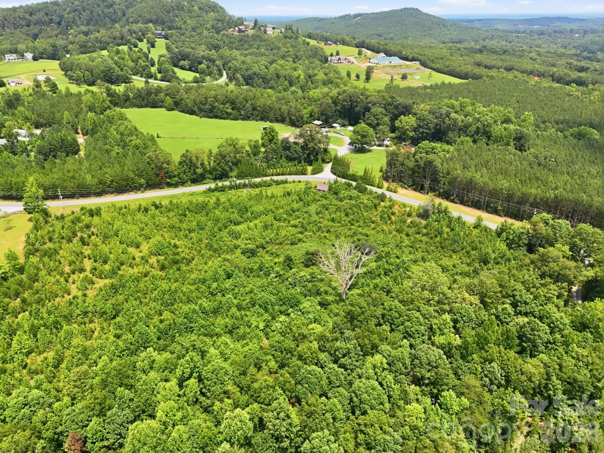 1522 Little Mountain Road - Photo 3