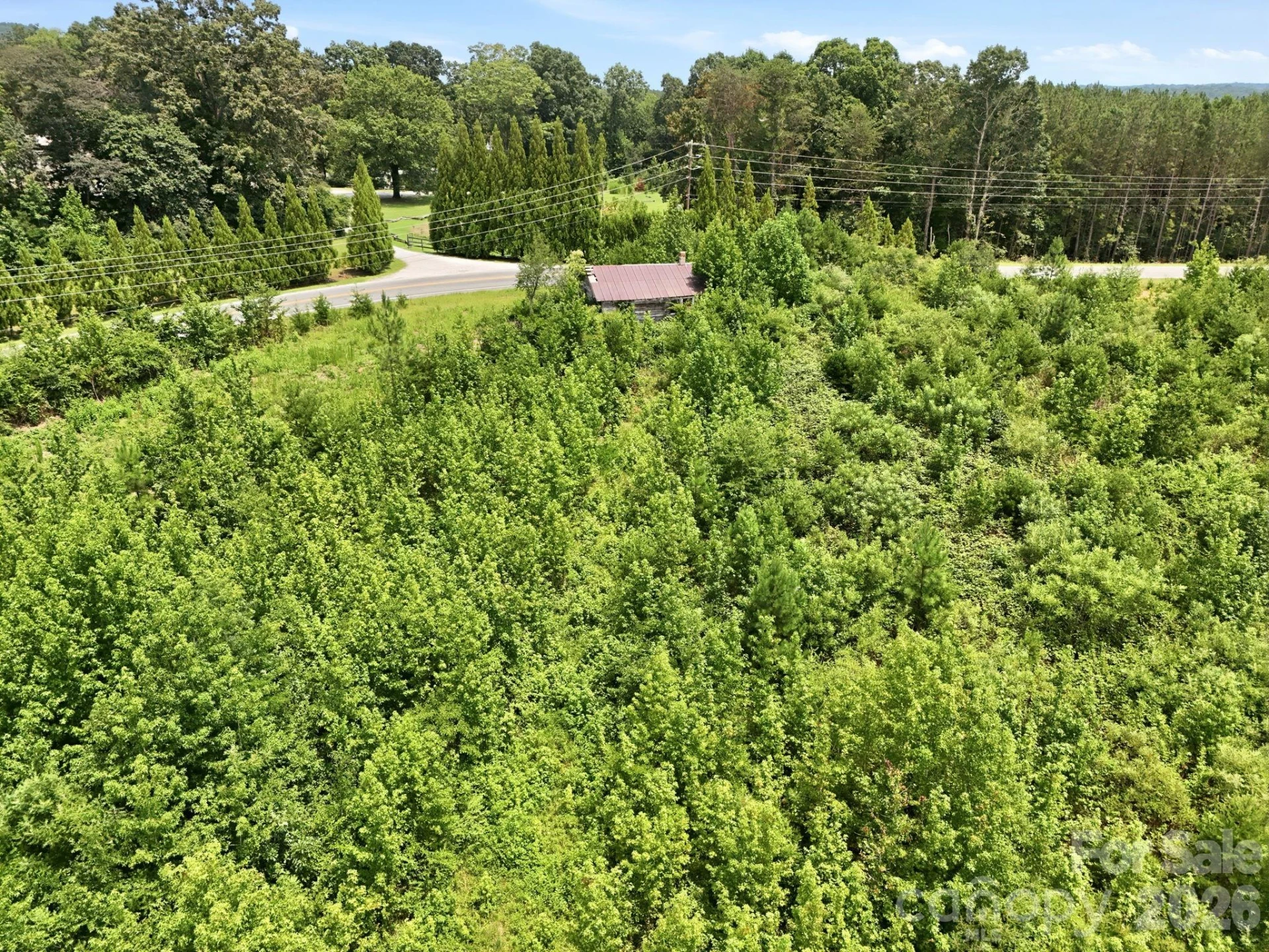 1522 Little Mountain Road - Photo 7