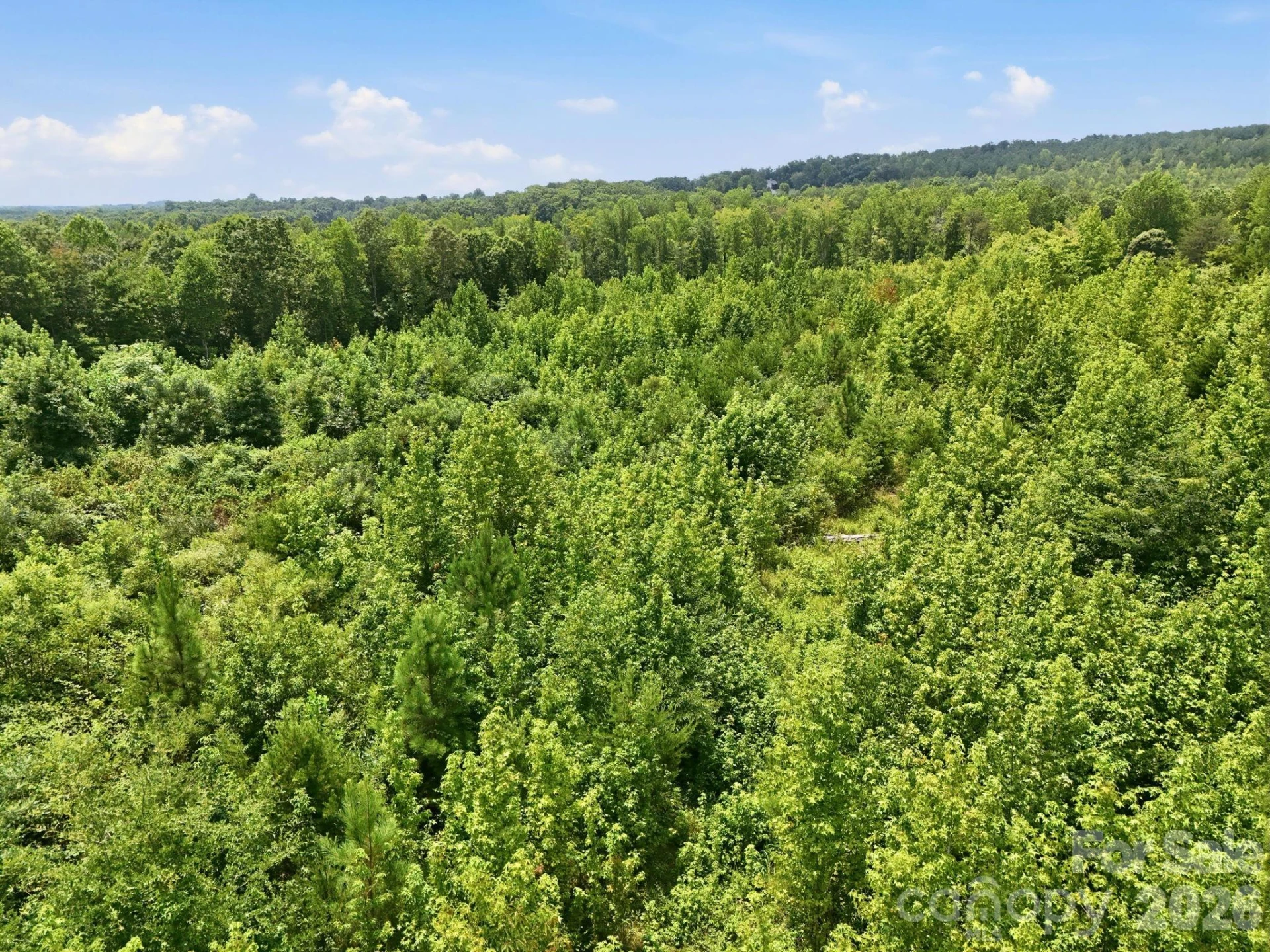 1522 Little Mountain Road - Photo 9