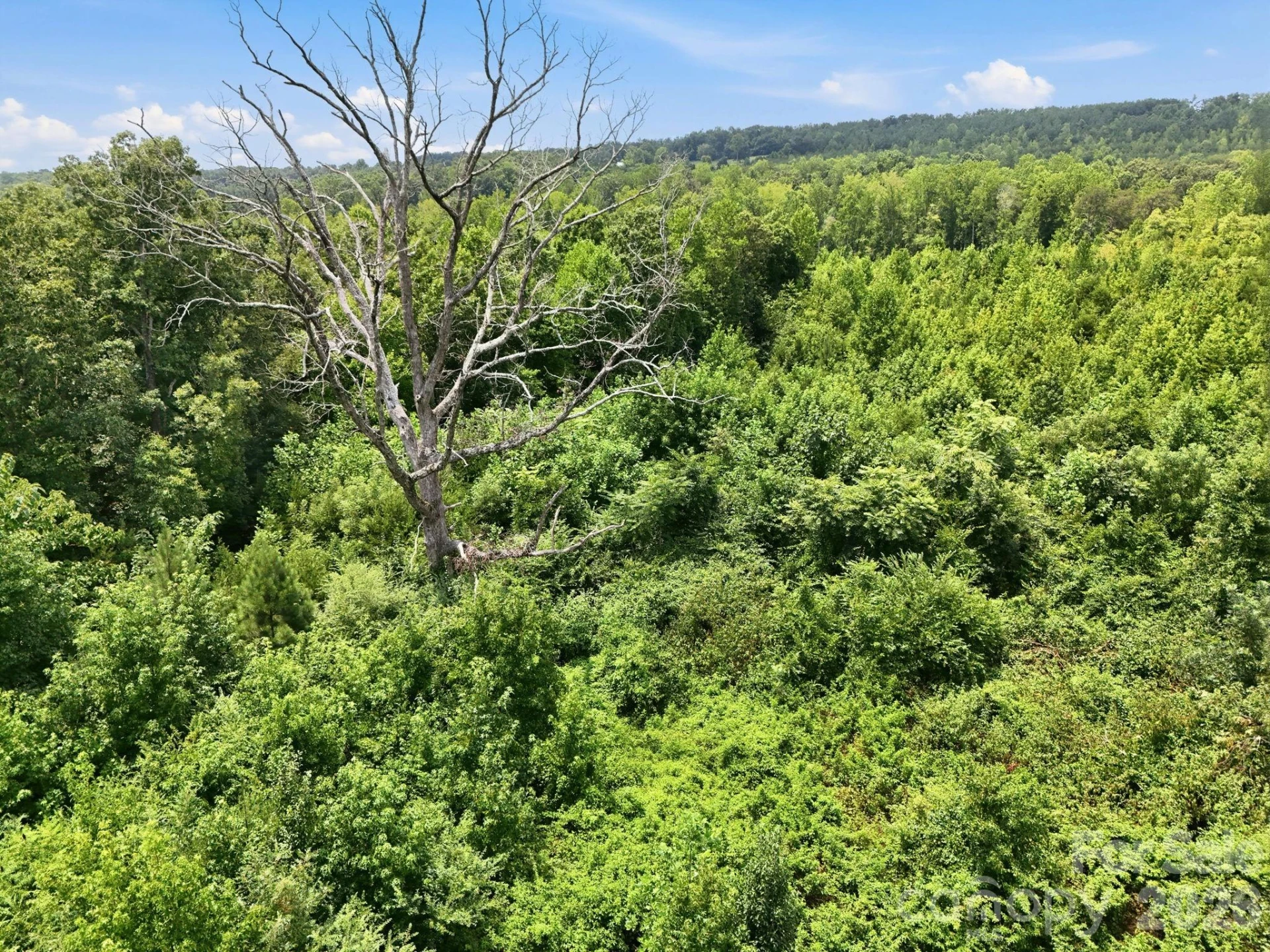 1522 Little Mountain Road - Photo 10