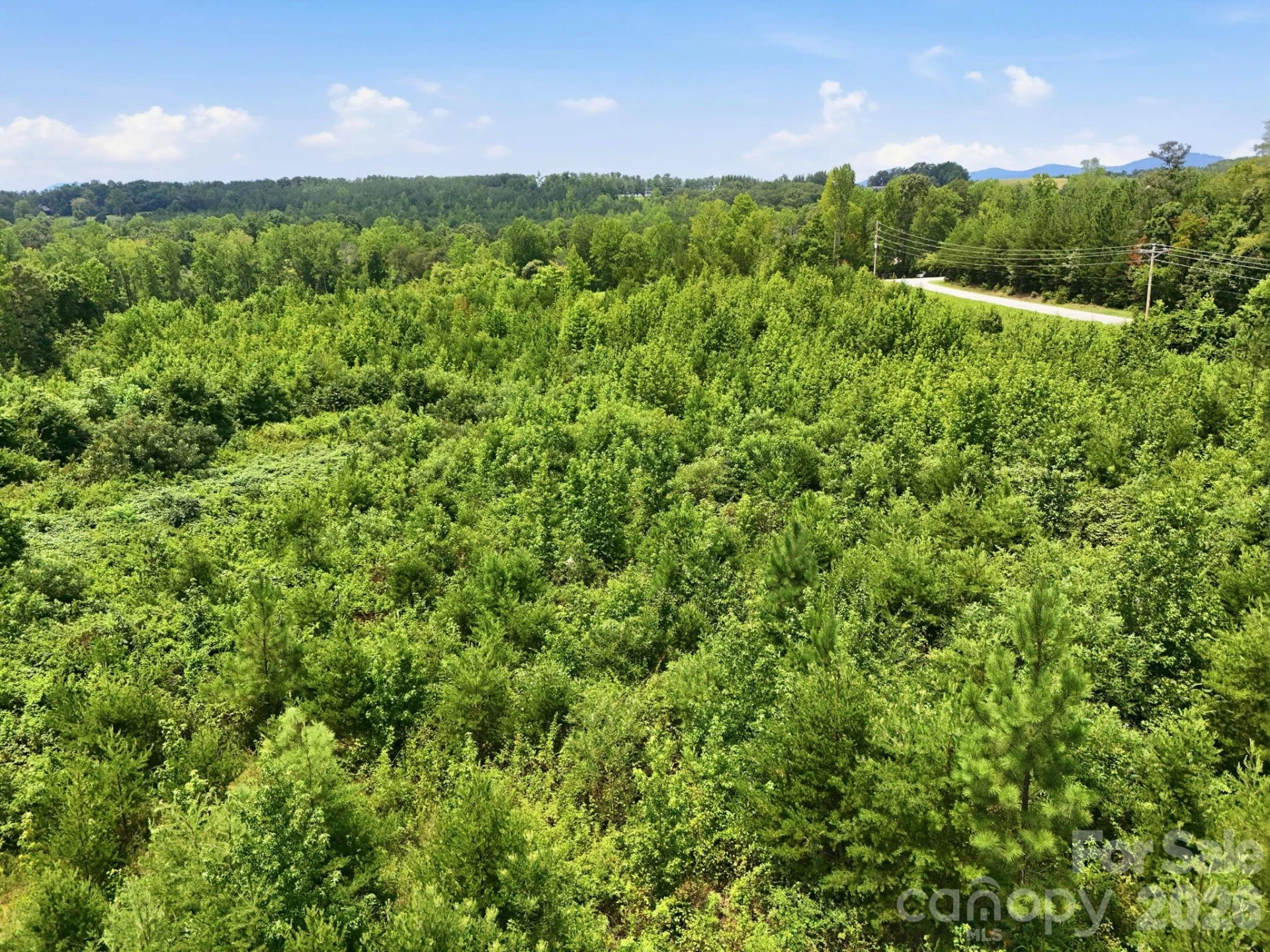1522 Little Mountain Road - Photo 11