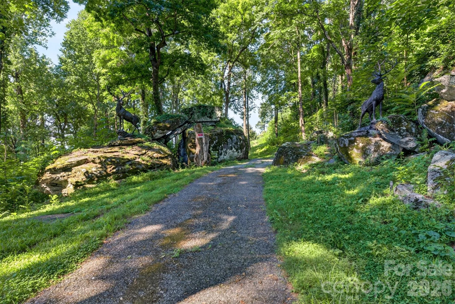 370 Mountain Side Drive - Photo 22