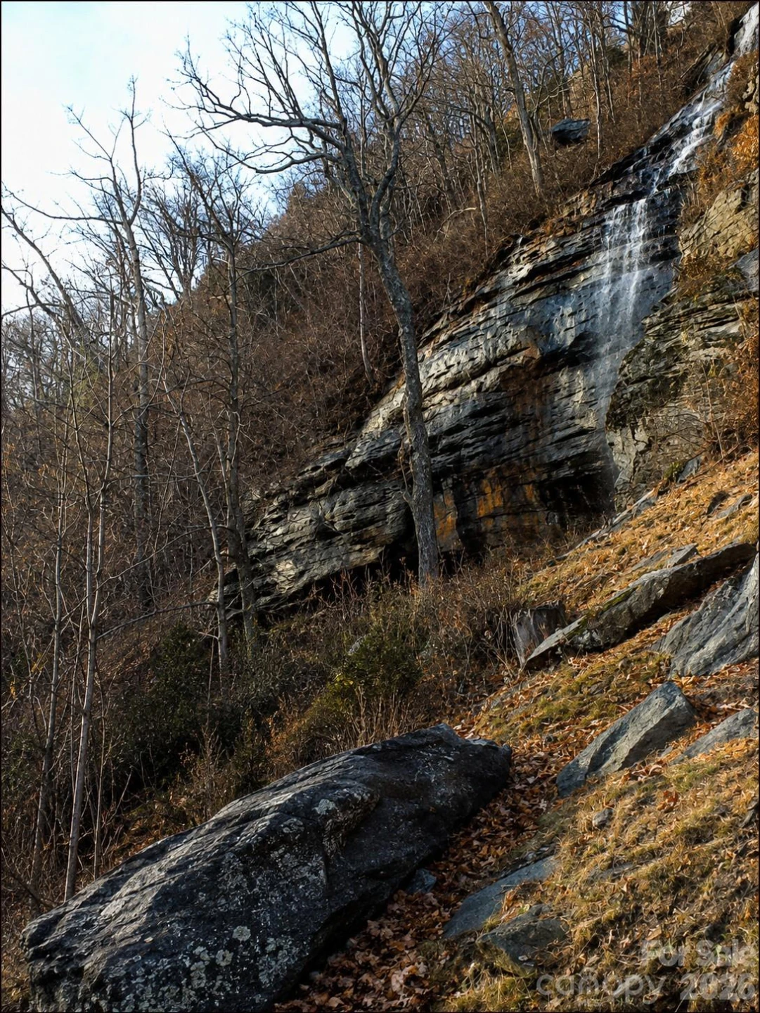 370 Mountain Side Drive - Photo 16