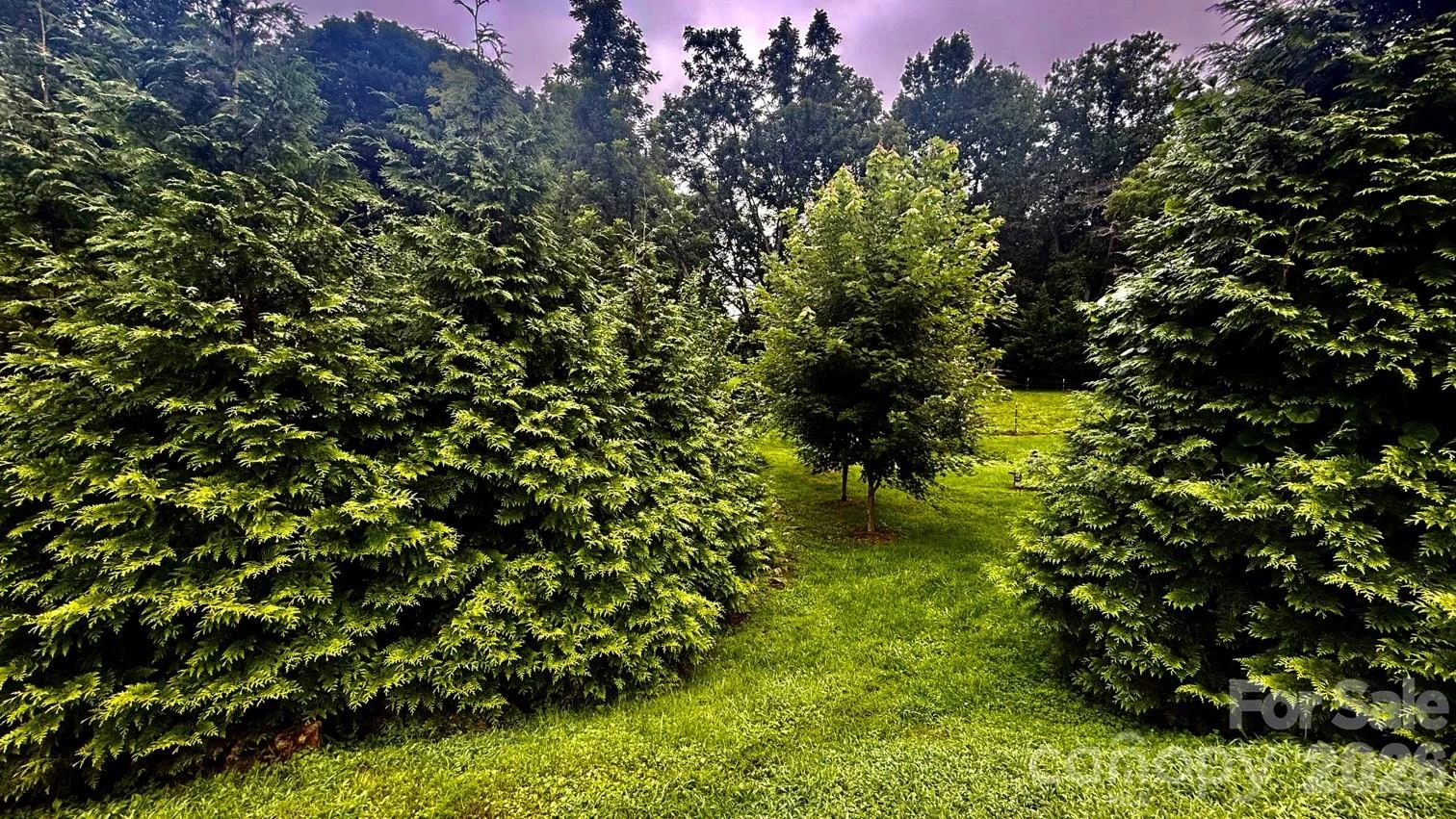 5 Northlake Drive - Photo 46
