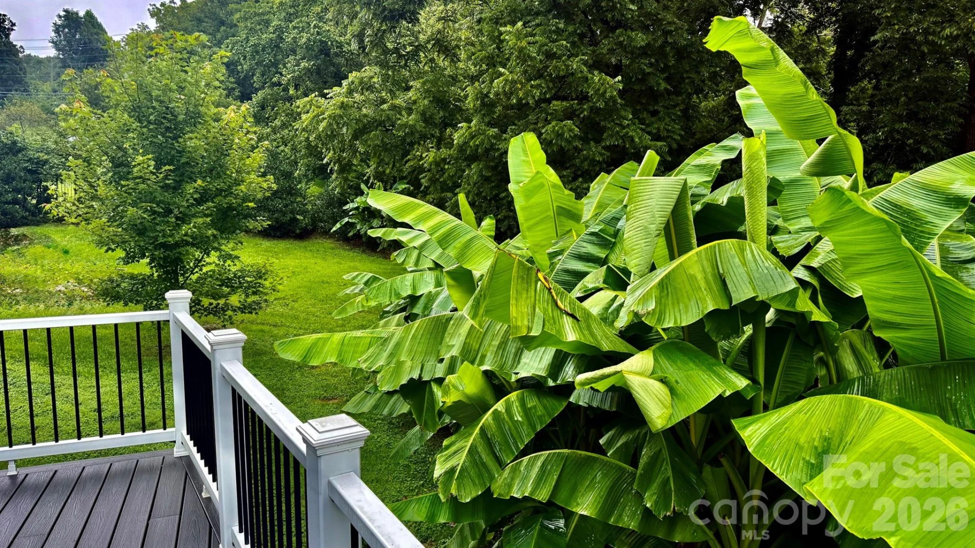5 Northlake Drive - Photo 47