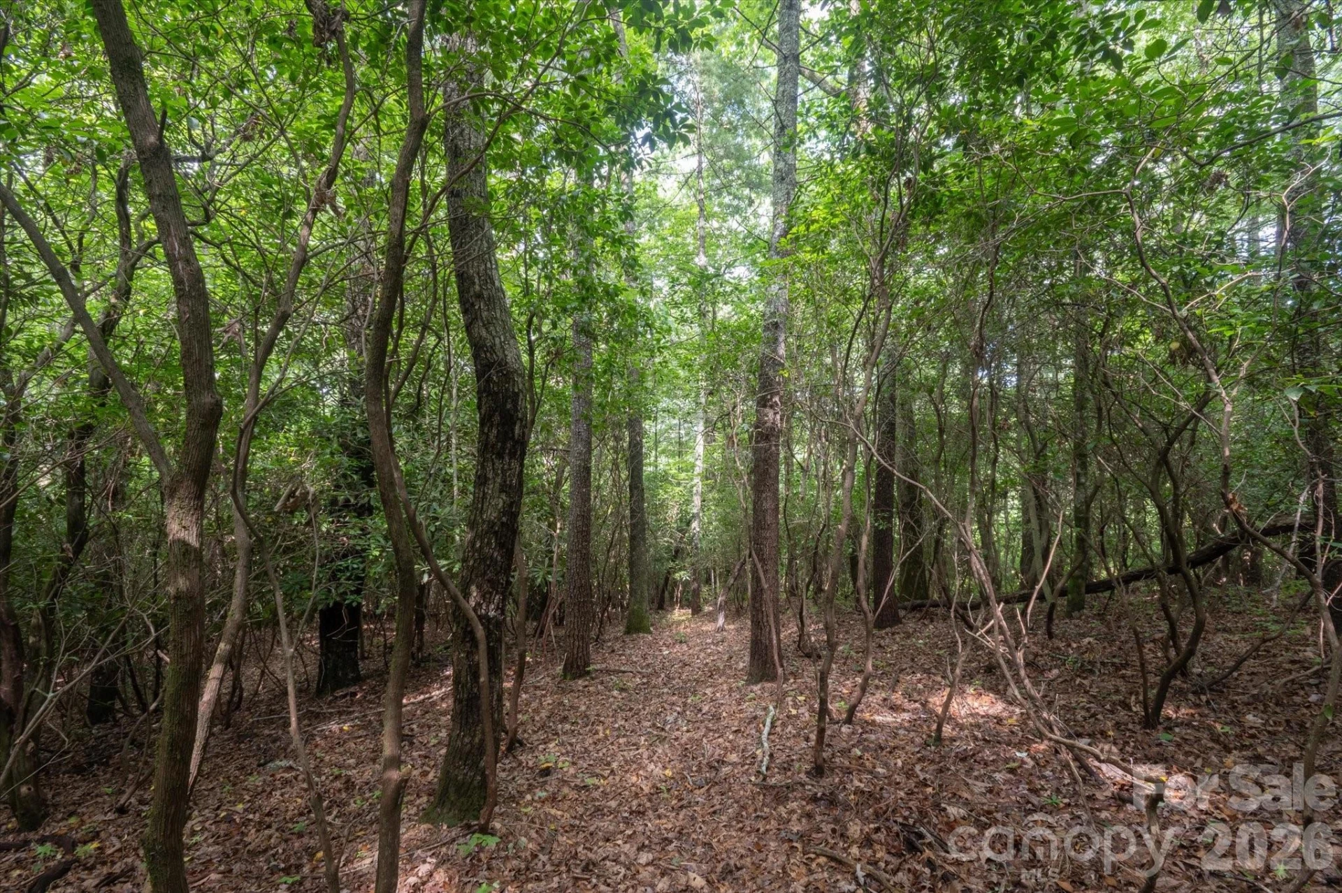 K 29 Chestnut Trace #K 29 - Photo 9