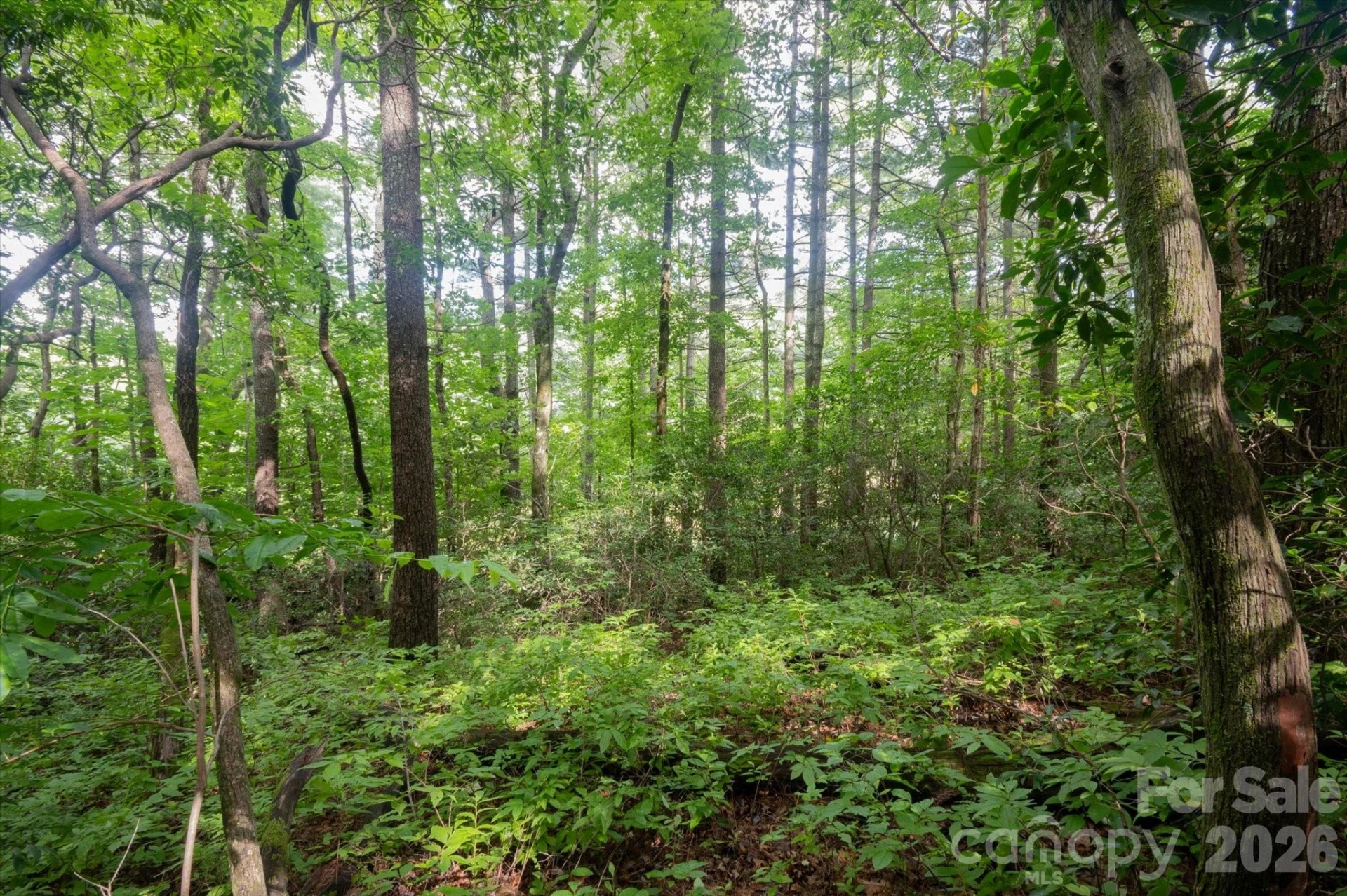 K 29 Chestnut Trace #K 29 - Photo 10