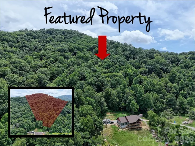 00 Wayward Cove, Clyde, NC, 28721