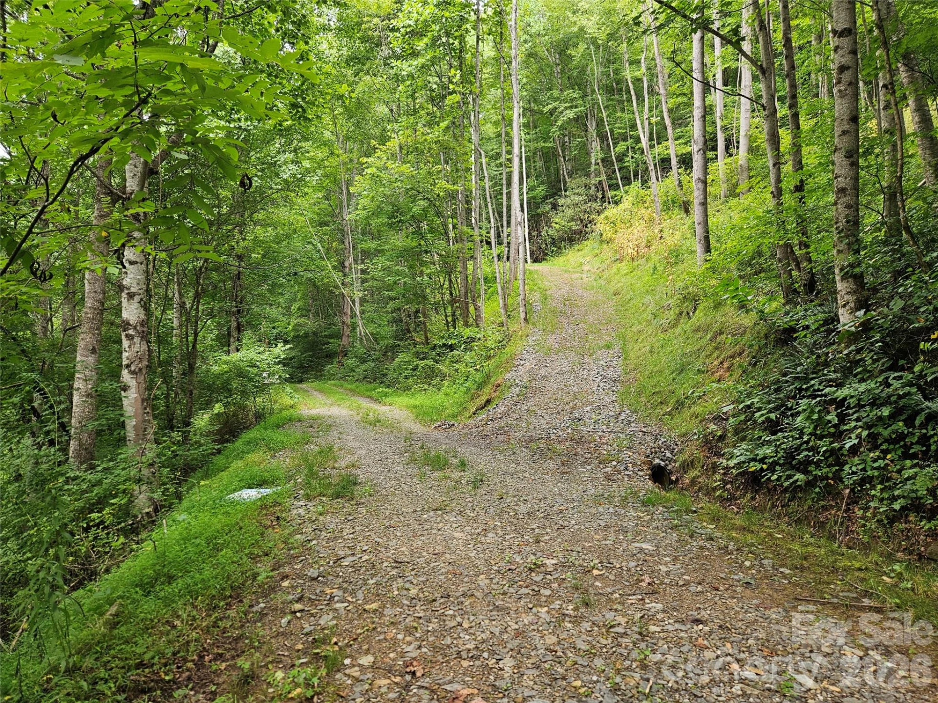 00 Wayward Cove - Photo 3