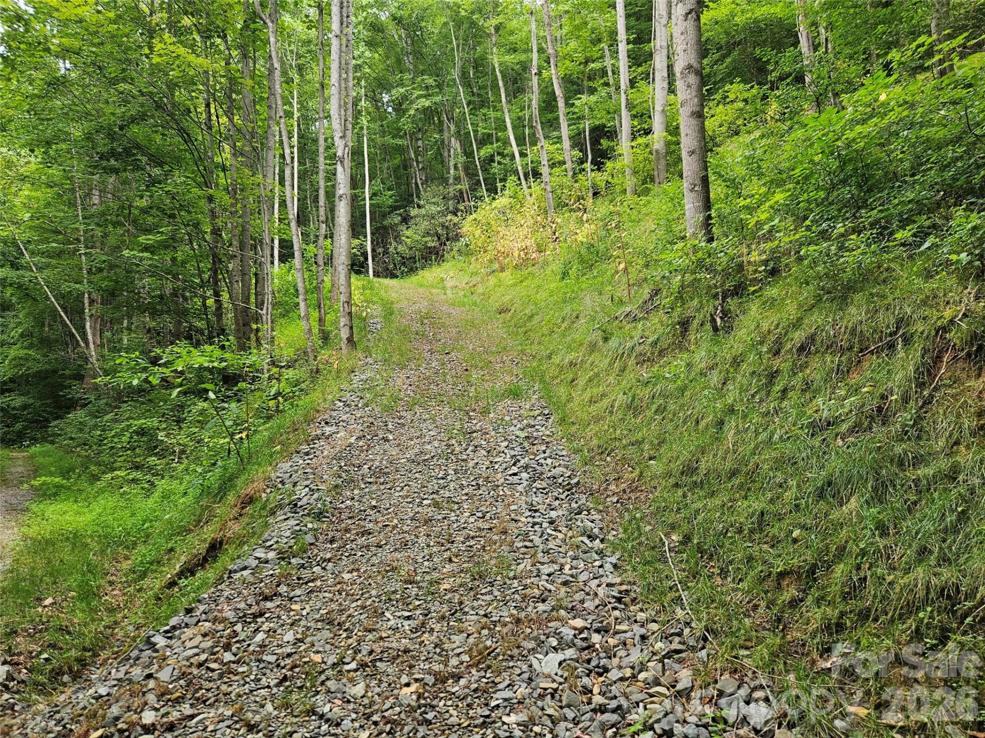 00 Wayward Cove - Photo 4