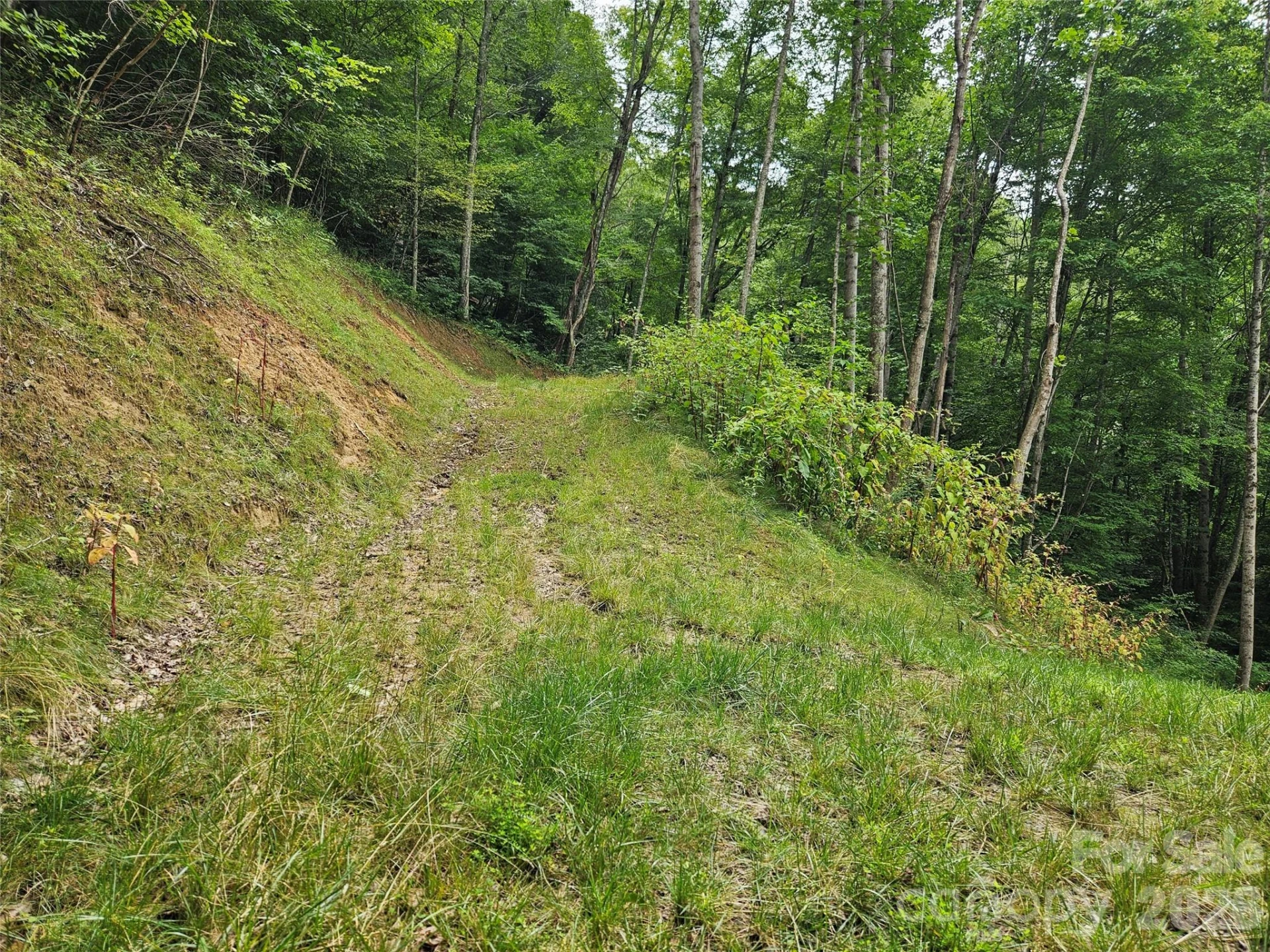 00 Wayward Cove - Photo 5