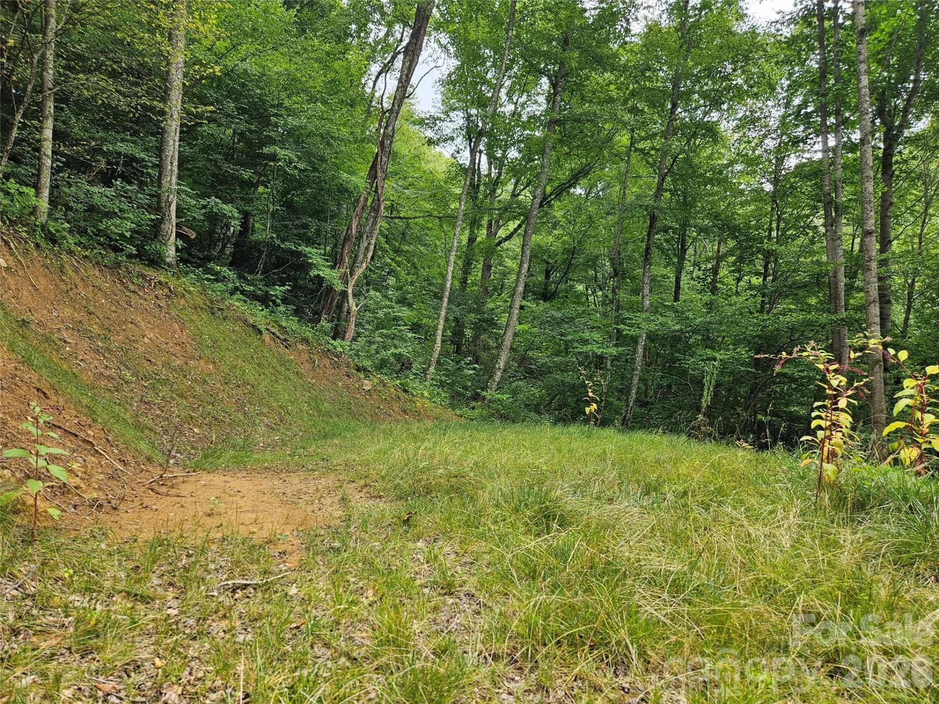 00 Wayward Cove - Photo 6