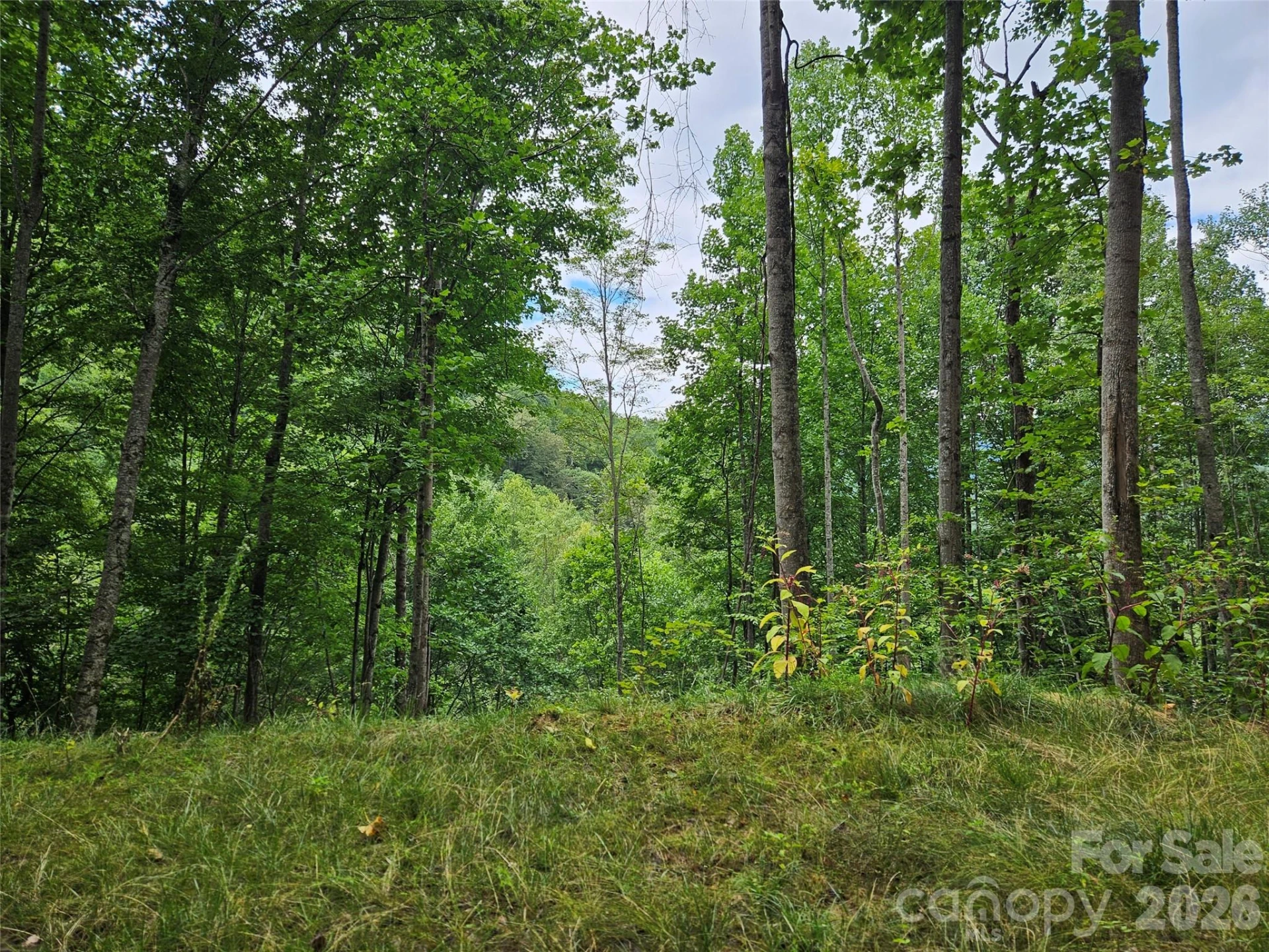 00 Wayward Cove - Photo 7