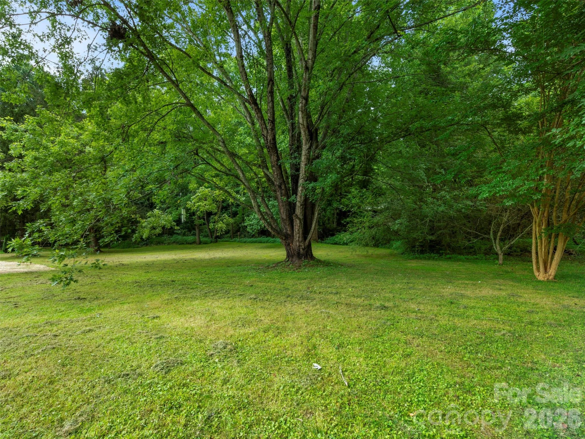 32 Reeves Road - Photo 6