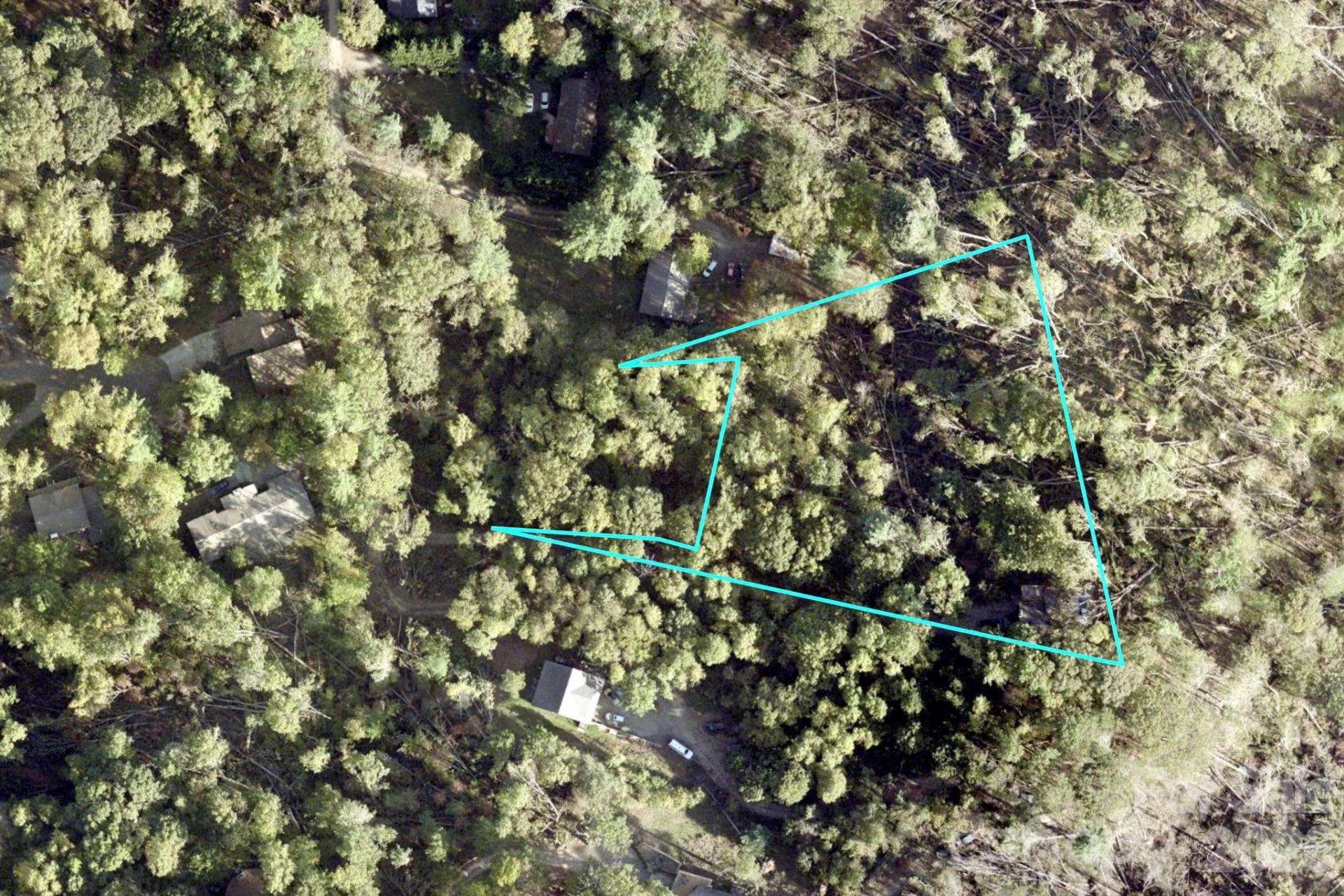 58 Teaberry Lane - Photo 3
