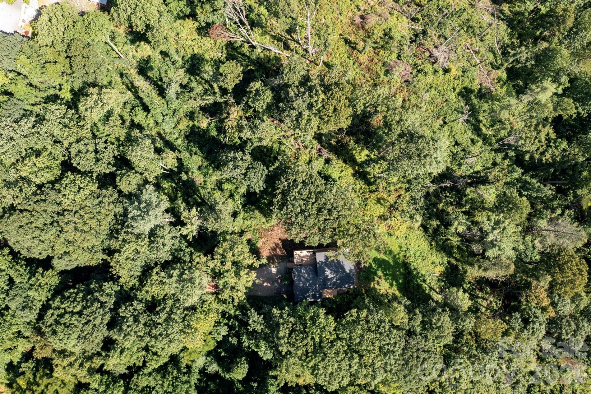 58 Teaberry Lane - Photo 35