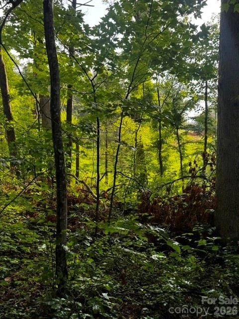 00000 Monticello Road - Photo 3