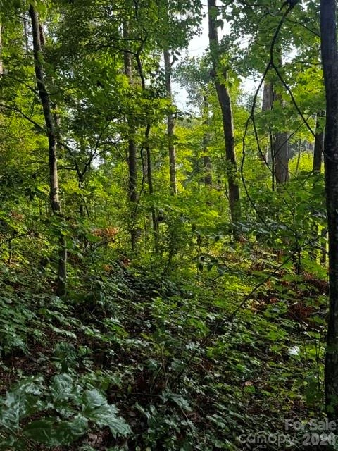 00000 Monticello Road - Photo 4