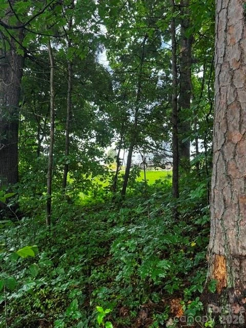 00000 Monticello Road - Photo 6